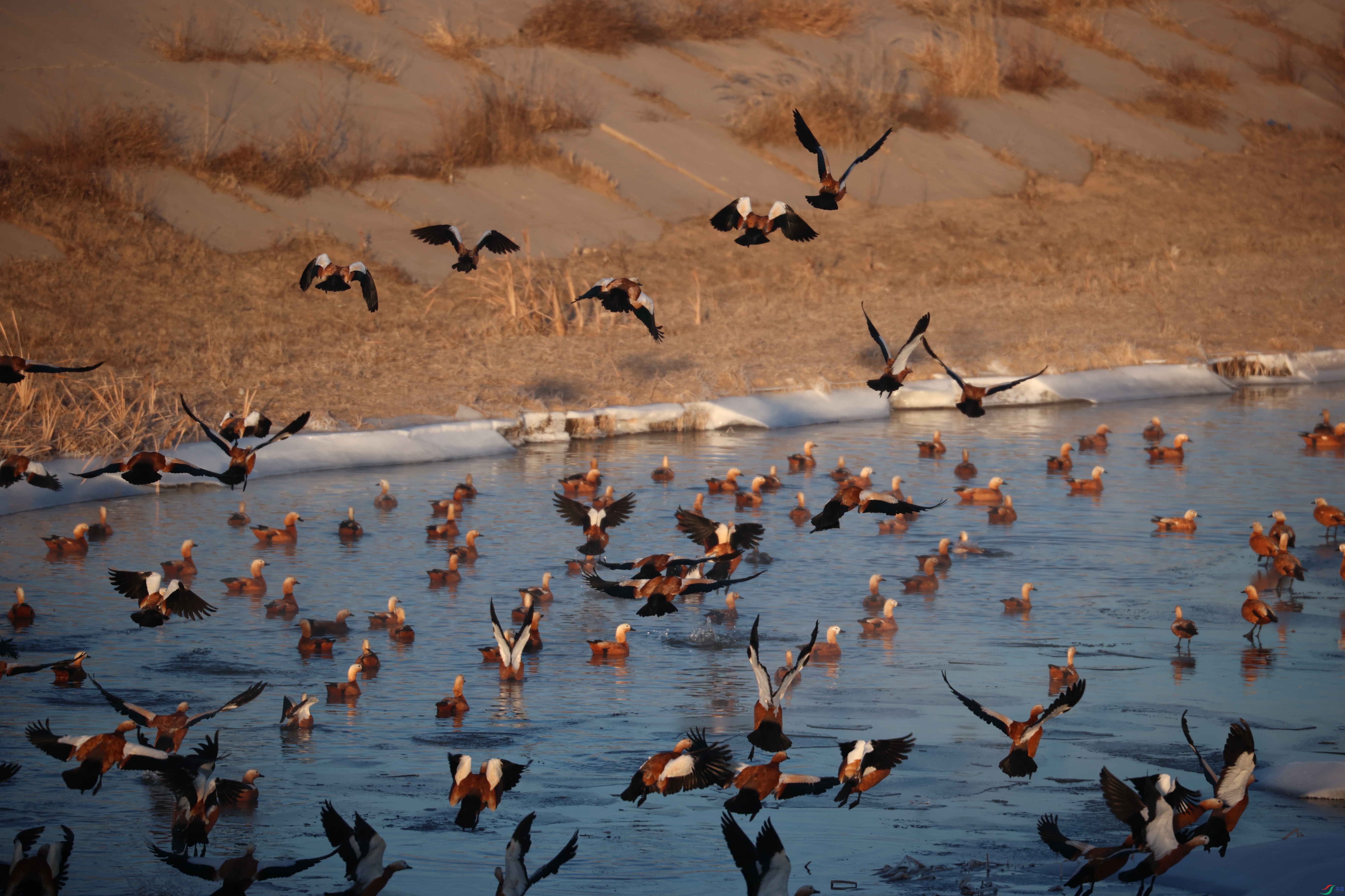 8923����ڿ���