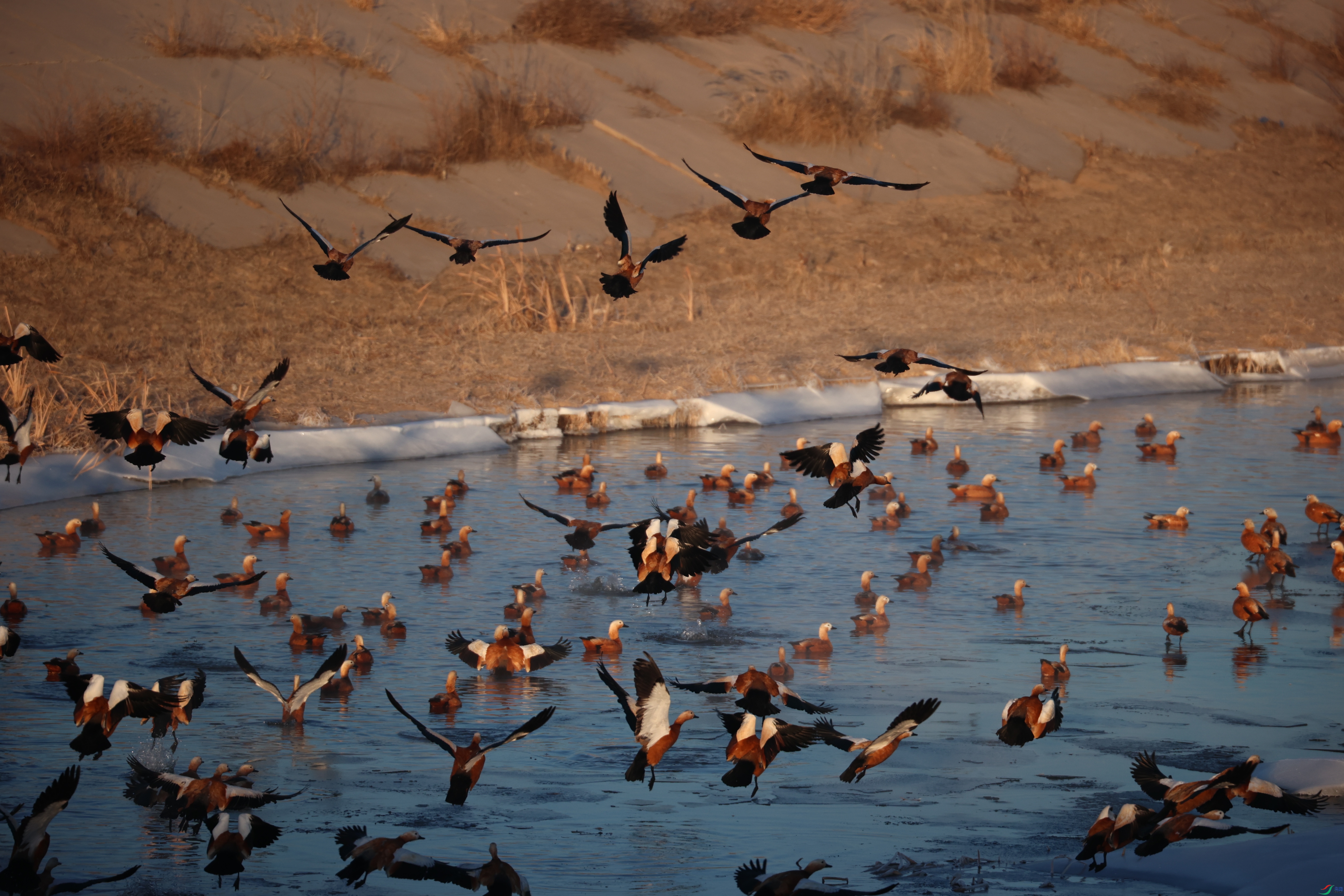 8924����ڿ���