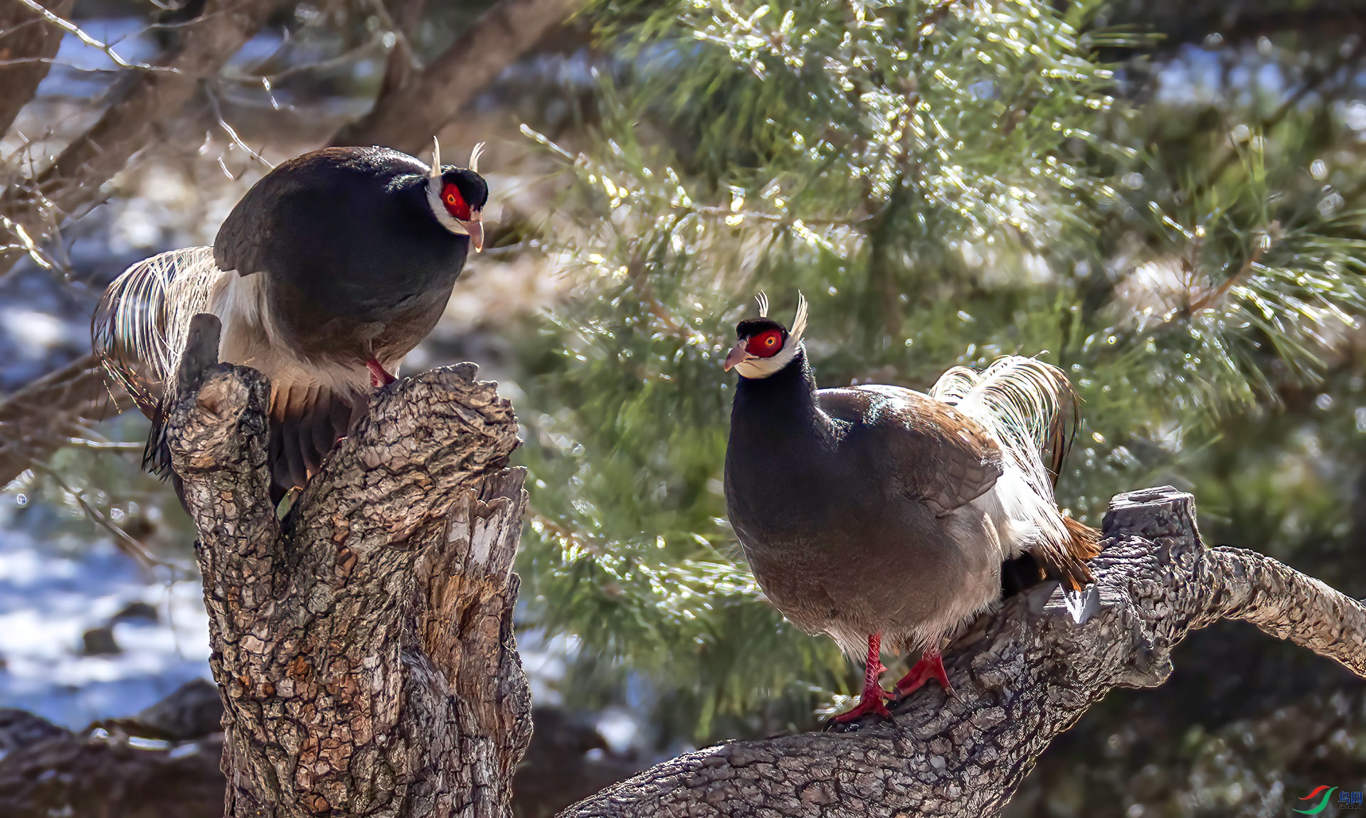 _07A8964 ����-Sh----1 .jpg