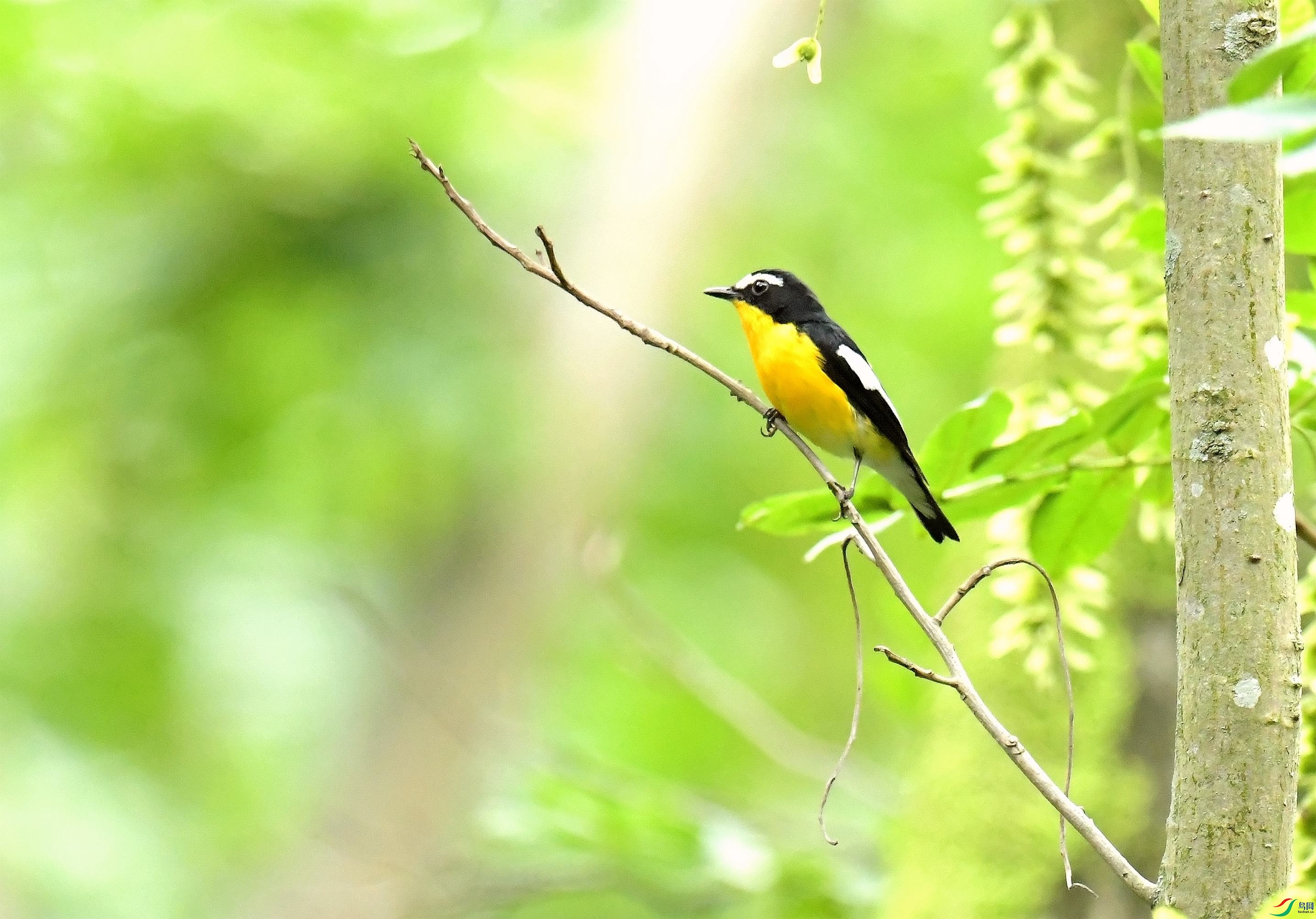 DSC_8912.JPG
