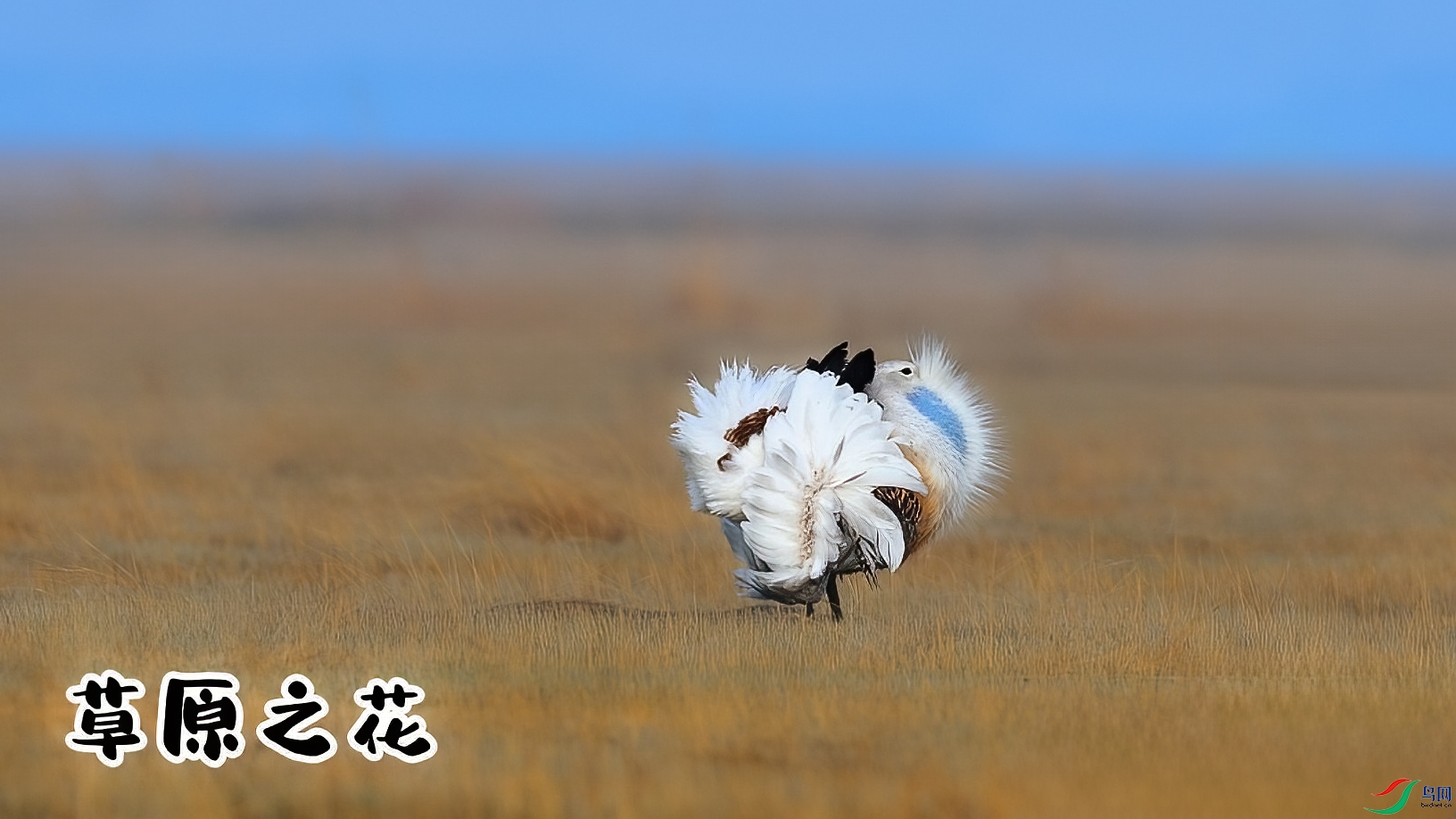 5��10�� (2)(1)-���� ����.jpg