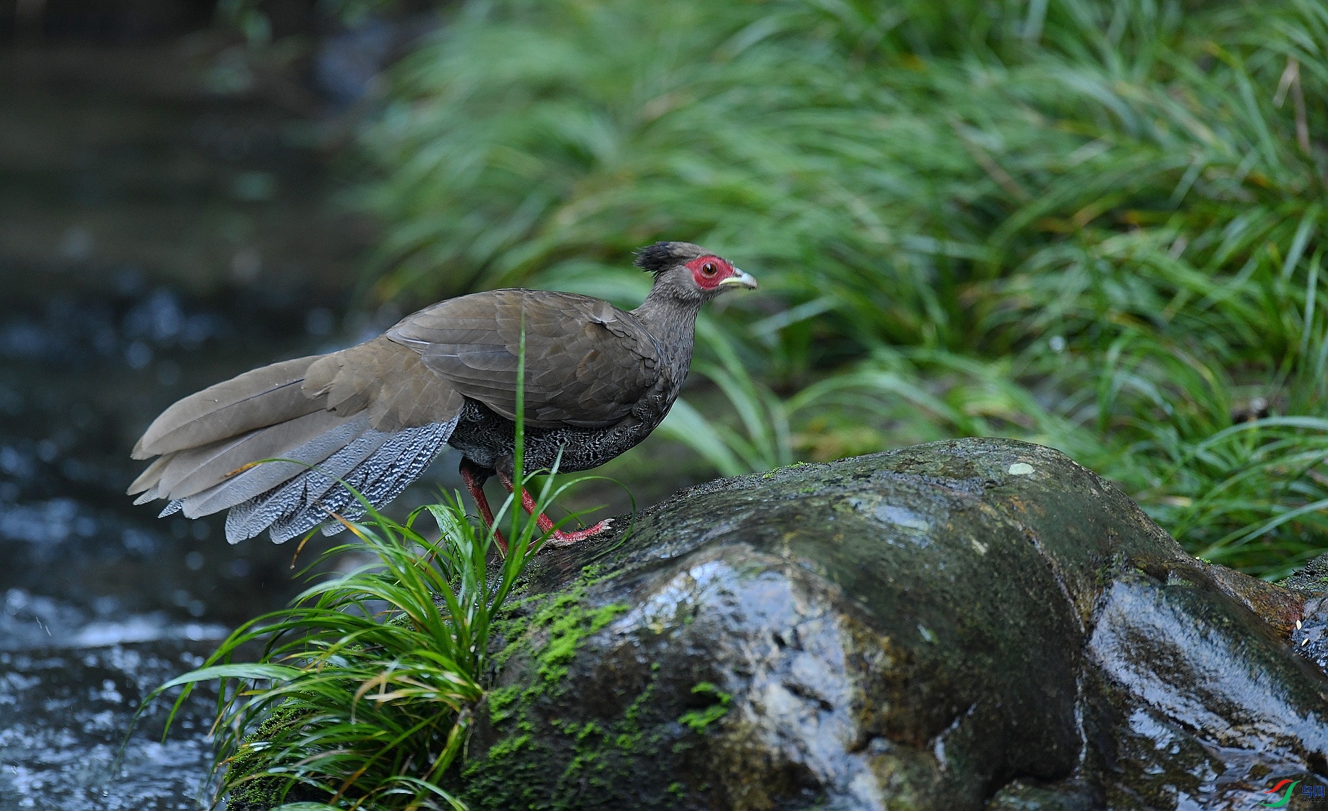 DSC_9980.jpg