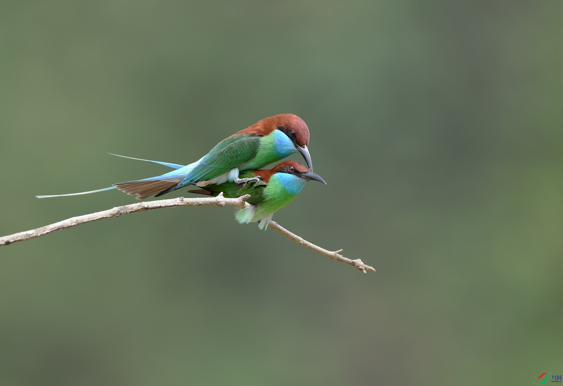 DSC_9991.jpg
