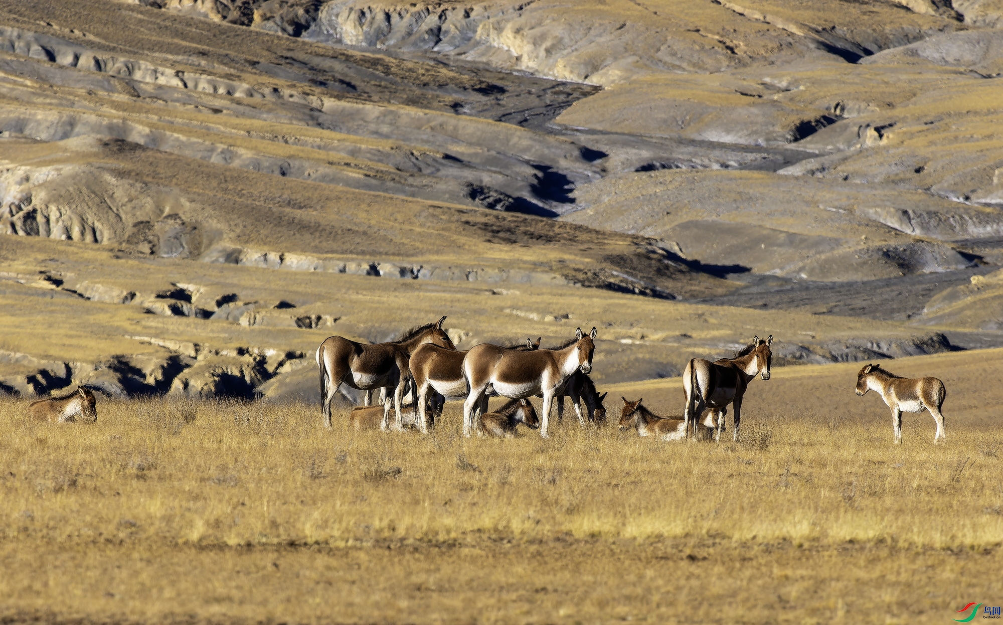 ��Ұ¿ (4)-01.jpg