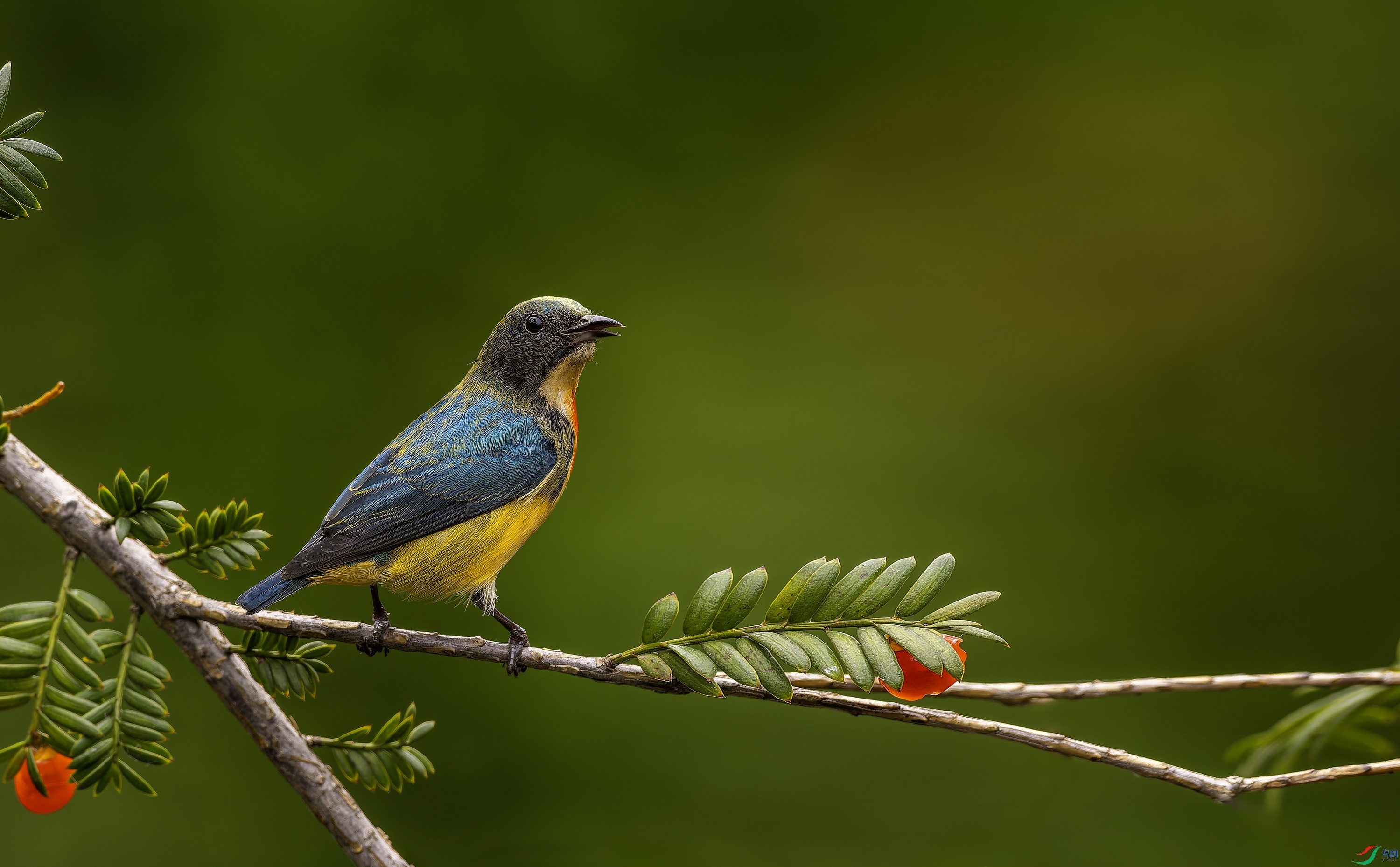 �����Ļ��� (3)-01.jpg