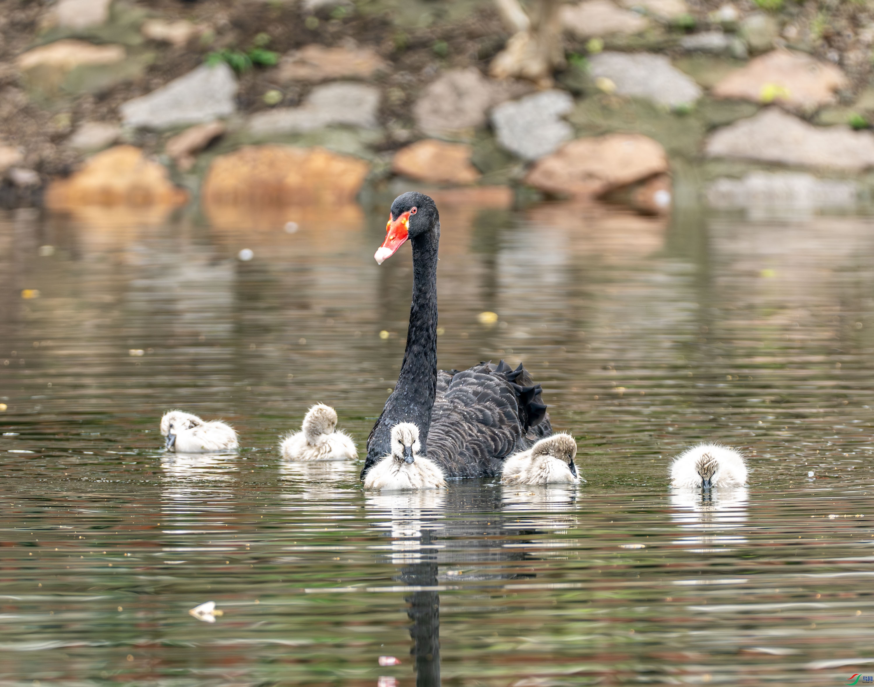 ����� 03-3.jpg