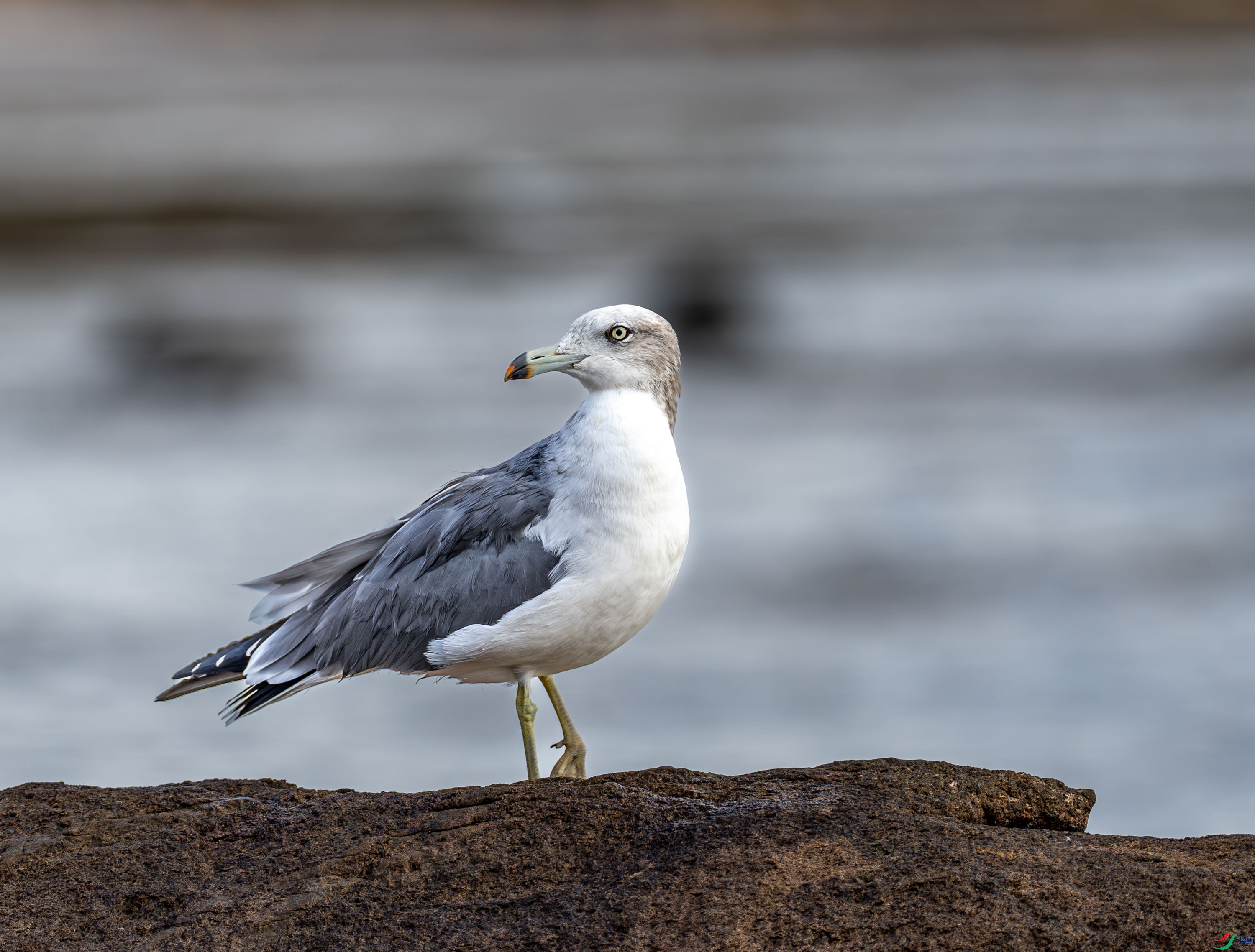 ��βŸ -02-1.jpg