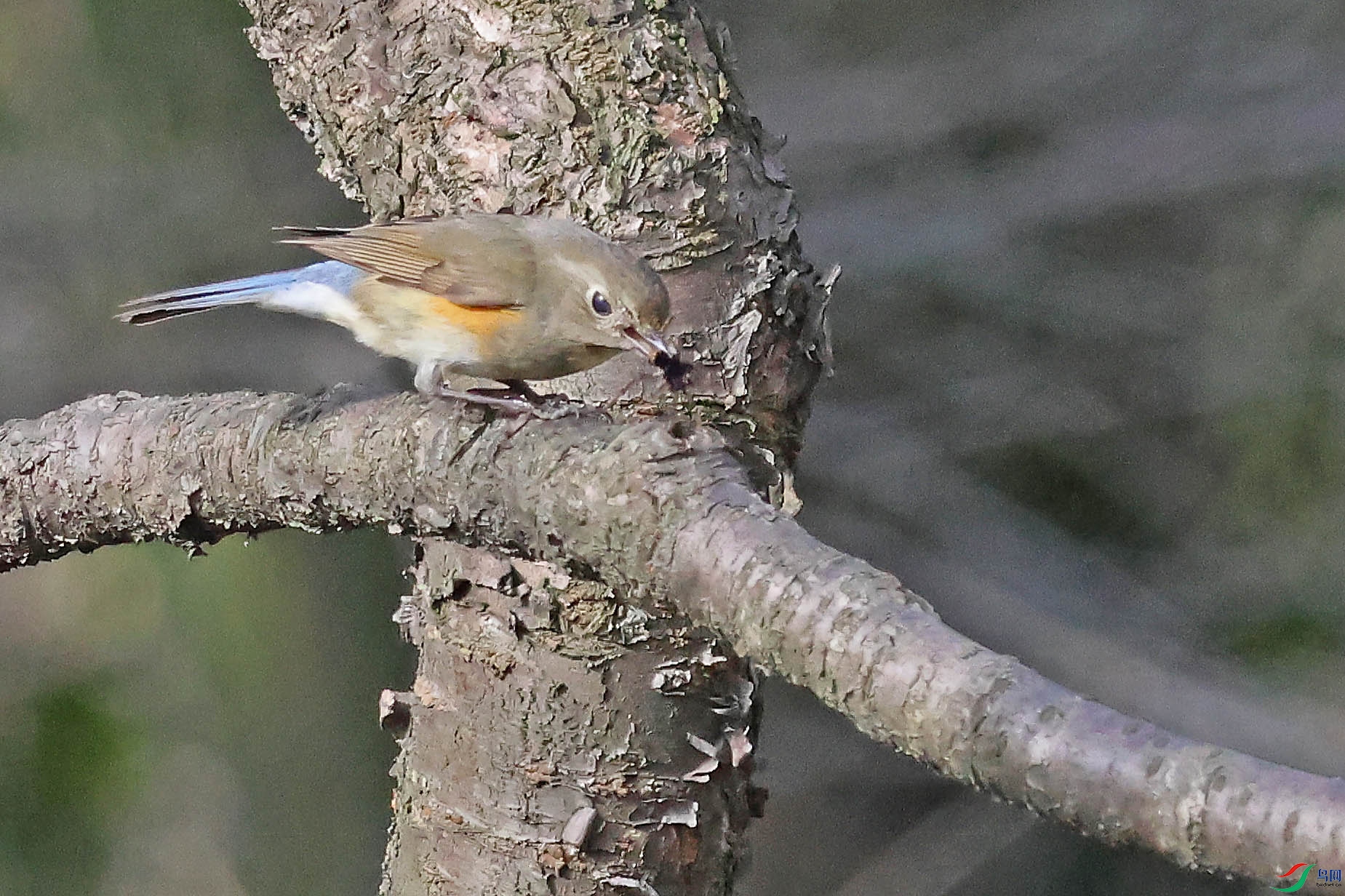 2G9A8629.JPG