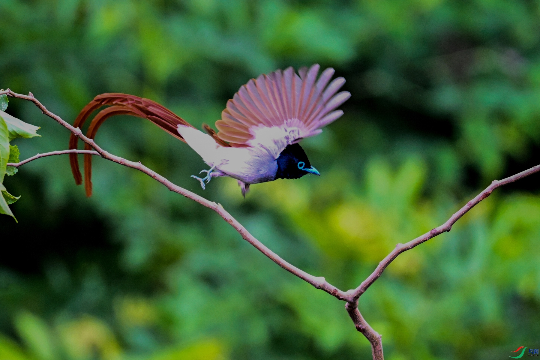DSC_5900.JPG