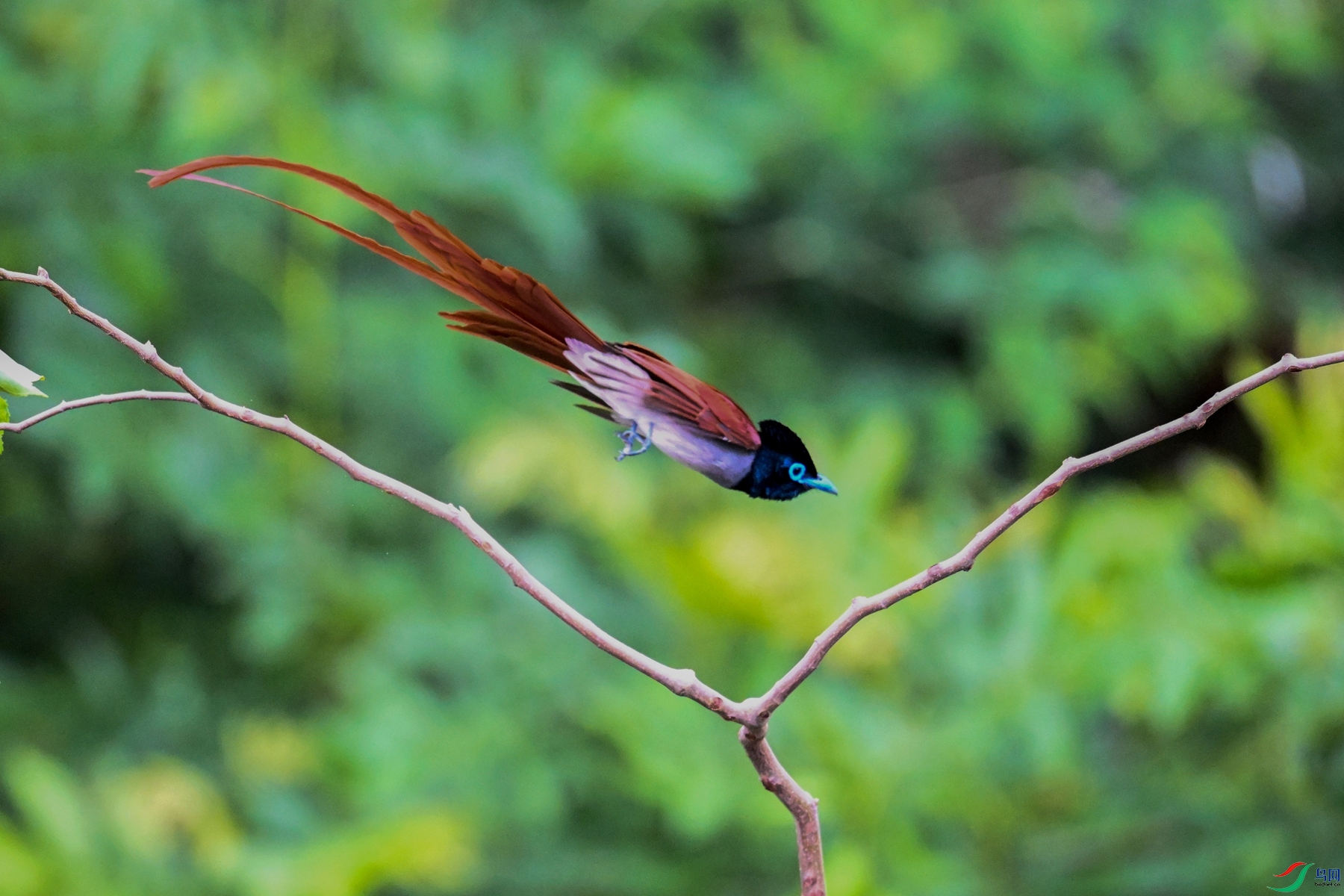 DSC_5901.JPG