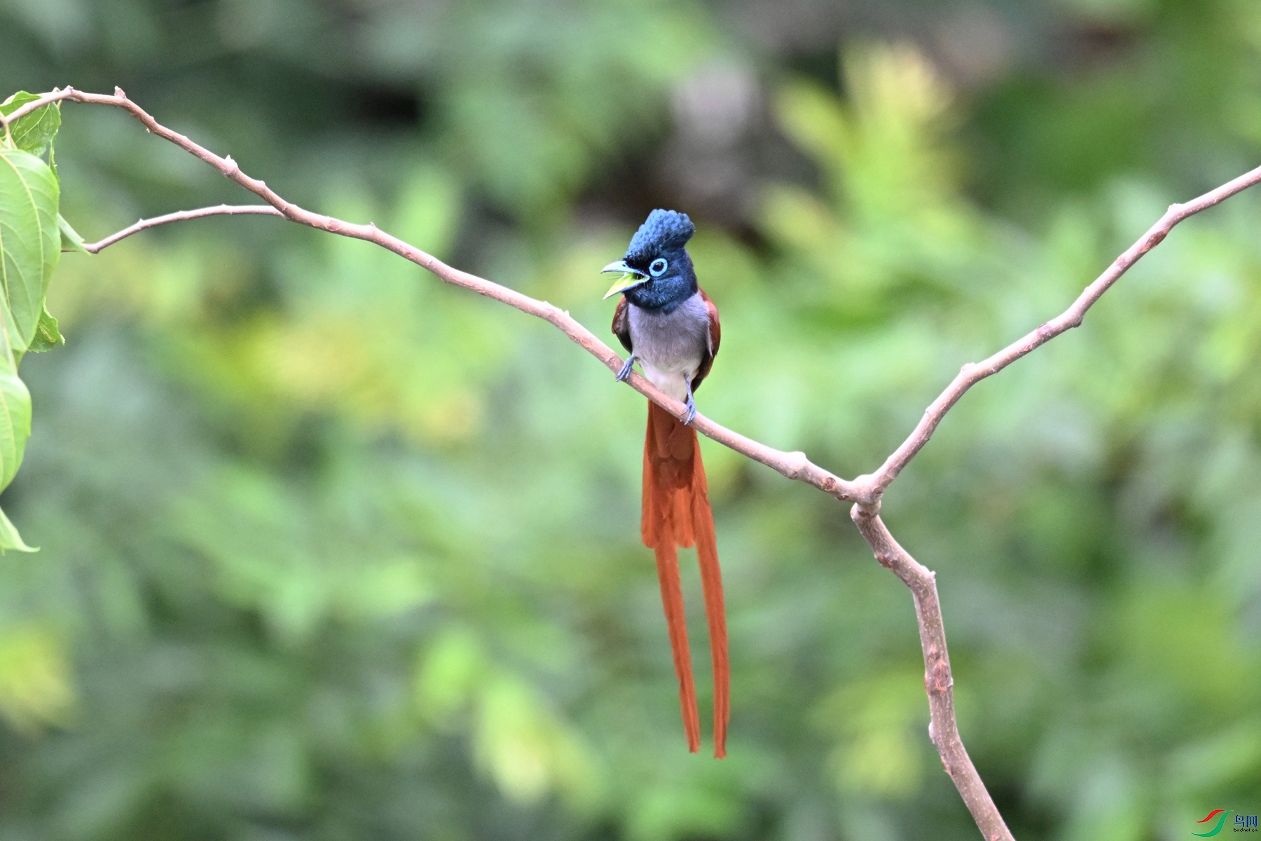 DSC_6142.JPG