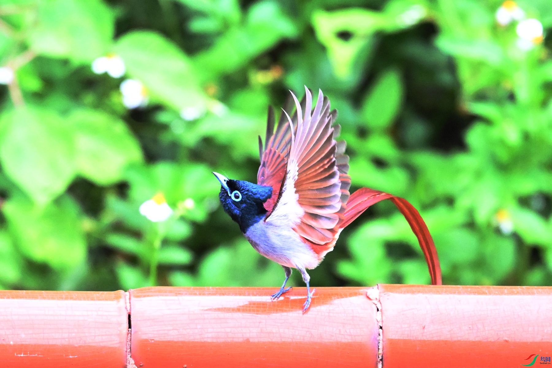 DSC_6047.JPG