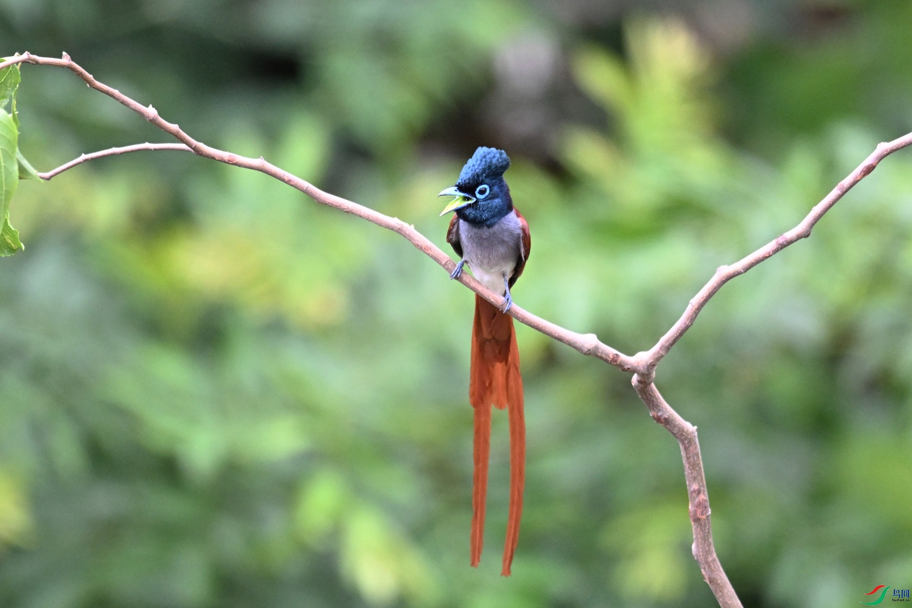 DSC_6144.JPG