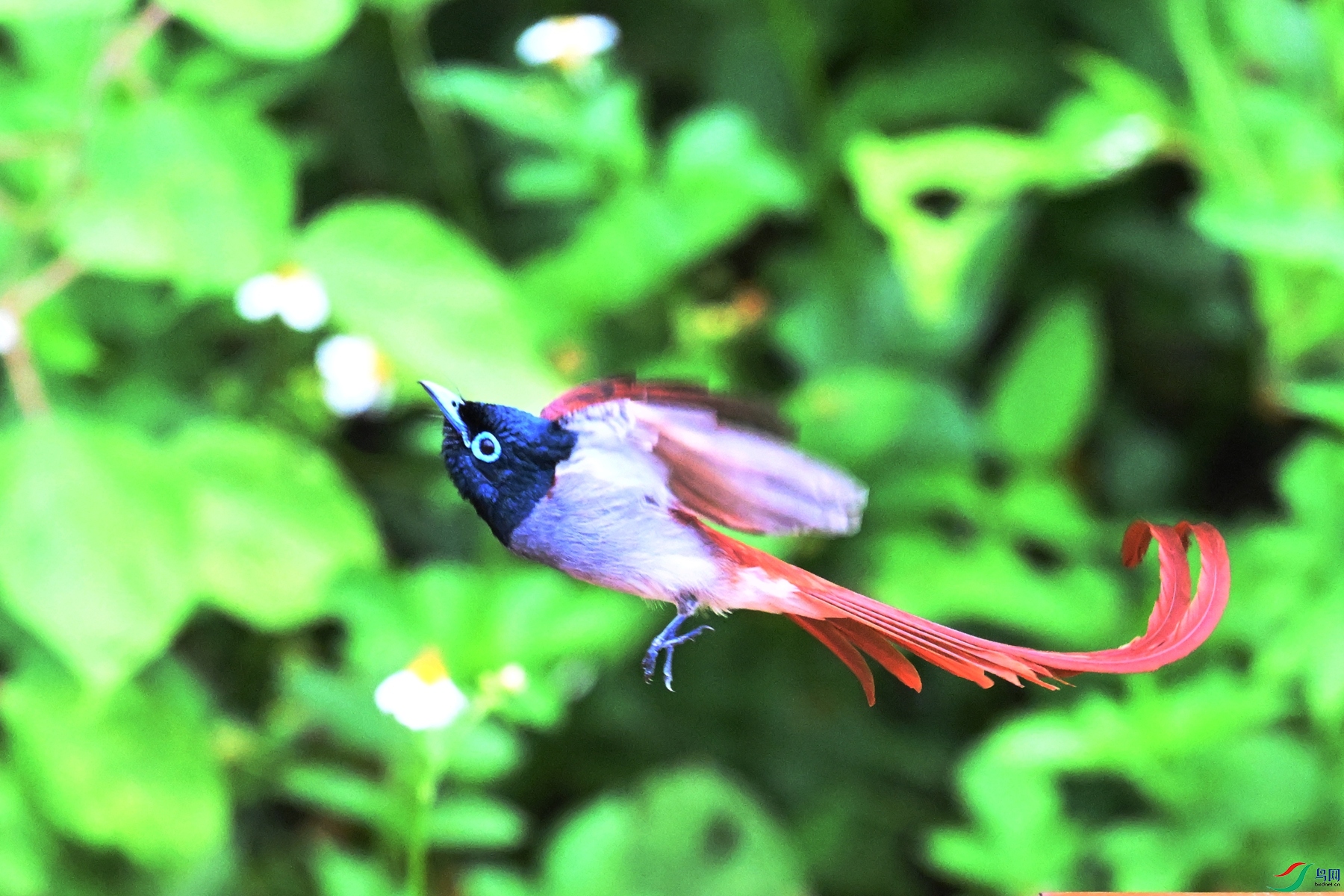 DSC_6048.JPG