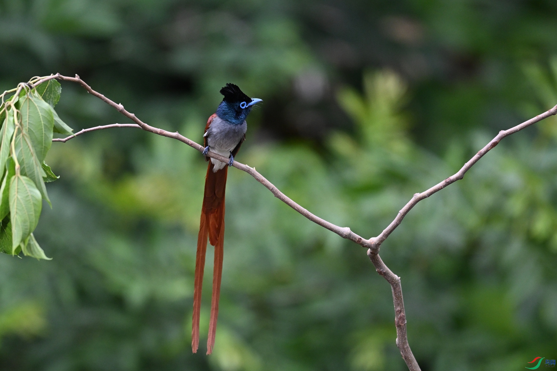 DSC_6130.JPG