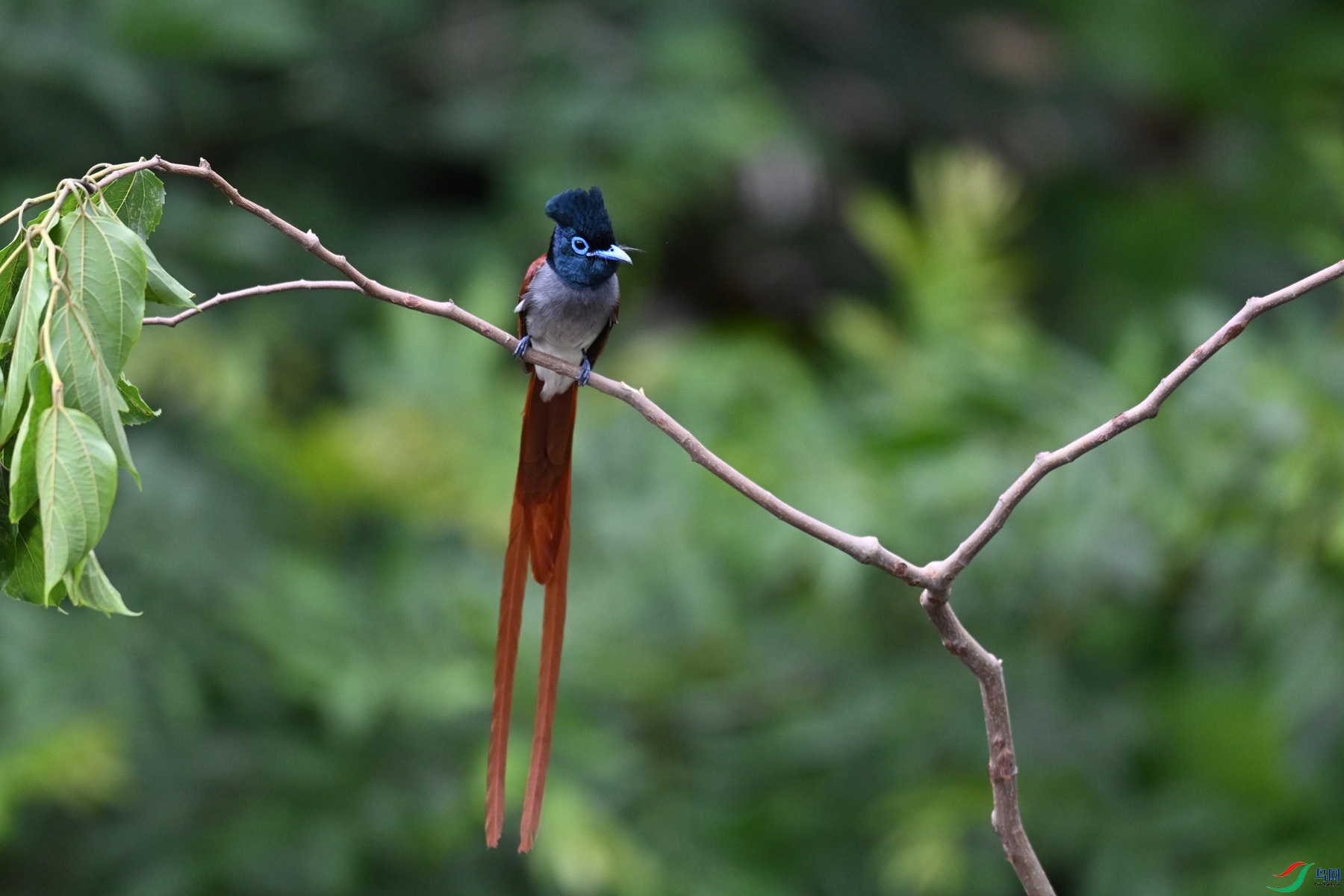 DSC_6134.JPG