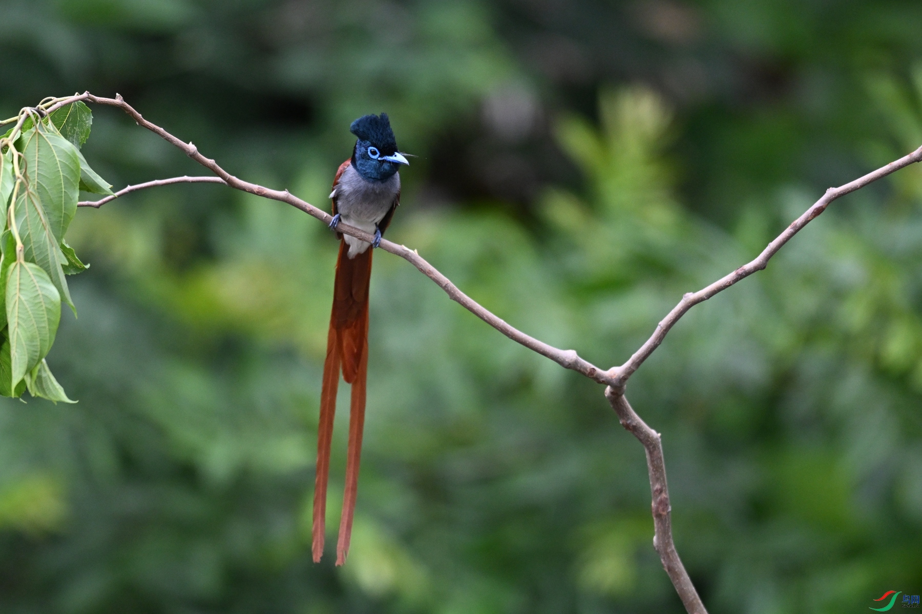 DSC_6135.JPG
