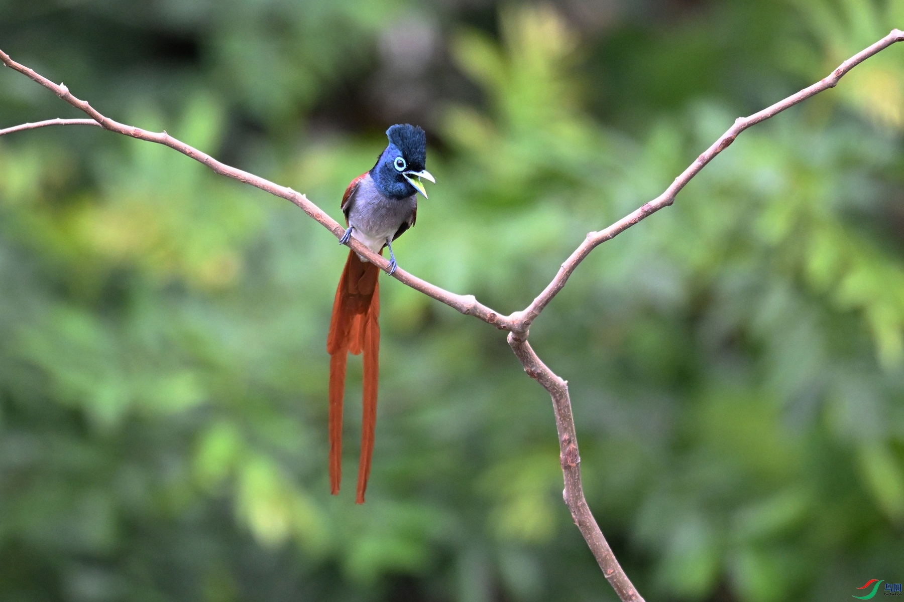 DSC_6139.JPG