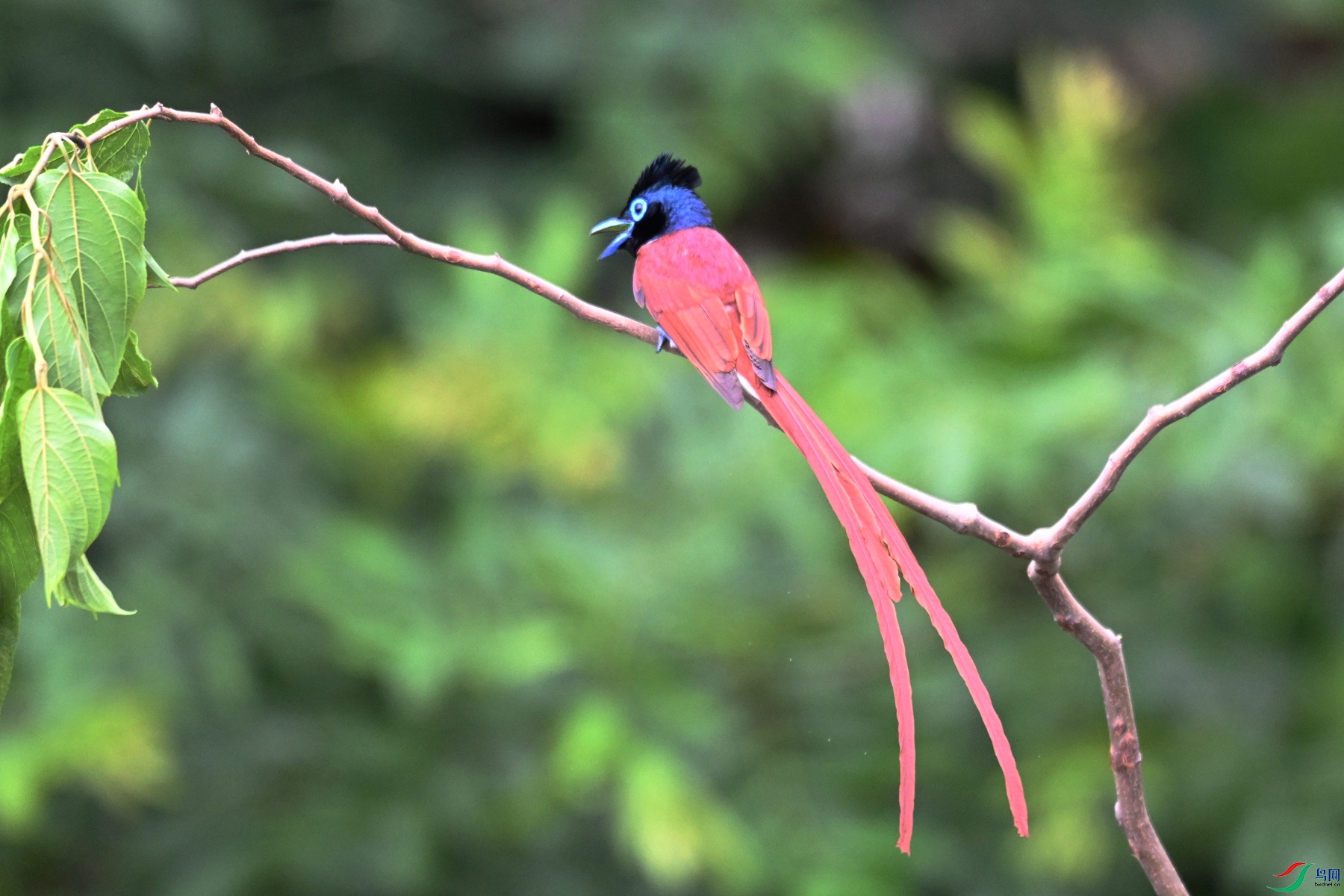 DSC_6149.JPG