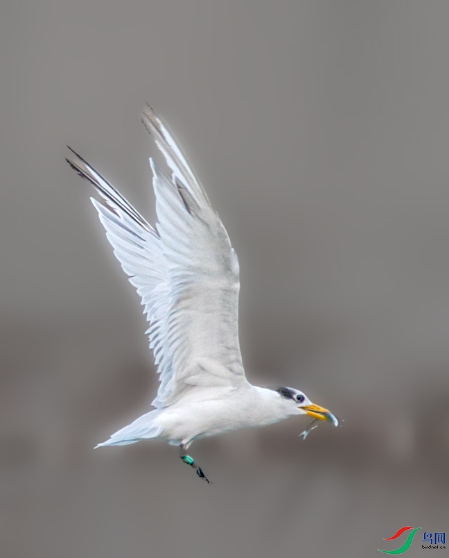 673A0455 ����.jpg