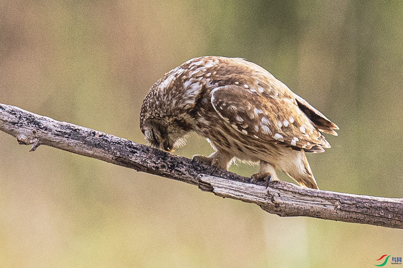 _90I0807 ����.jpg