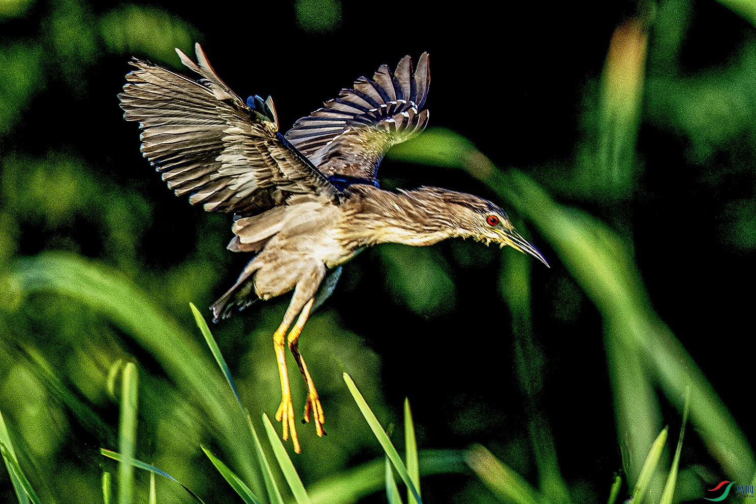 _90I0555 ���� 2.jpg