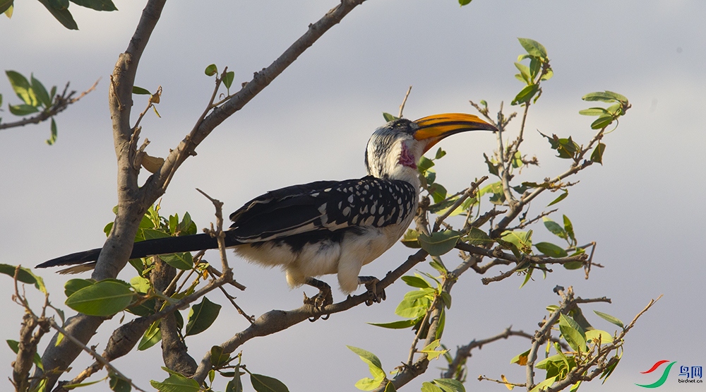 ��������Ϭ�� (3).jpg