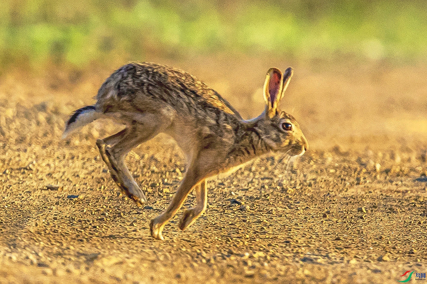 _90I7447 ���� 2.jpg