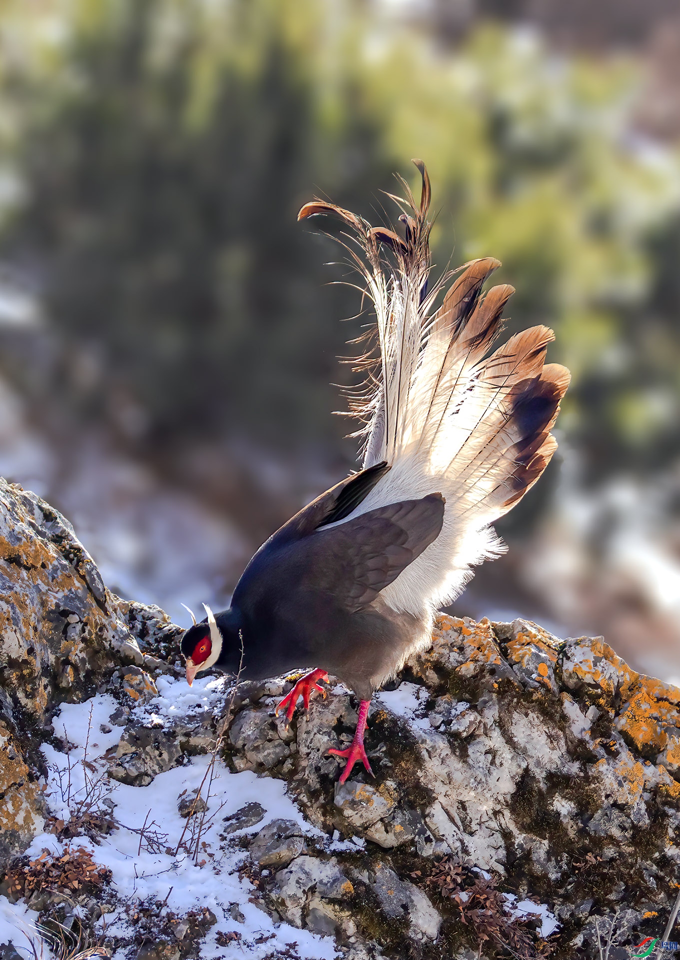 _07A2139 ����-Sh----1 .jpg