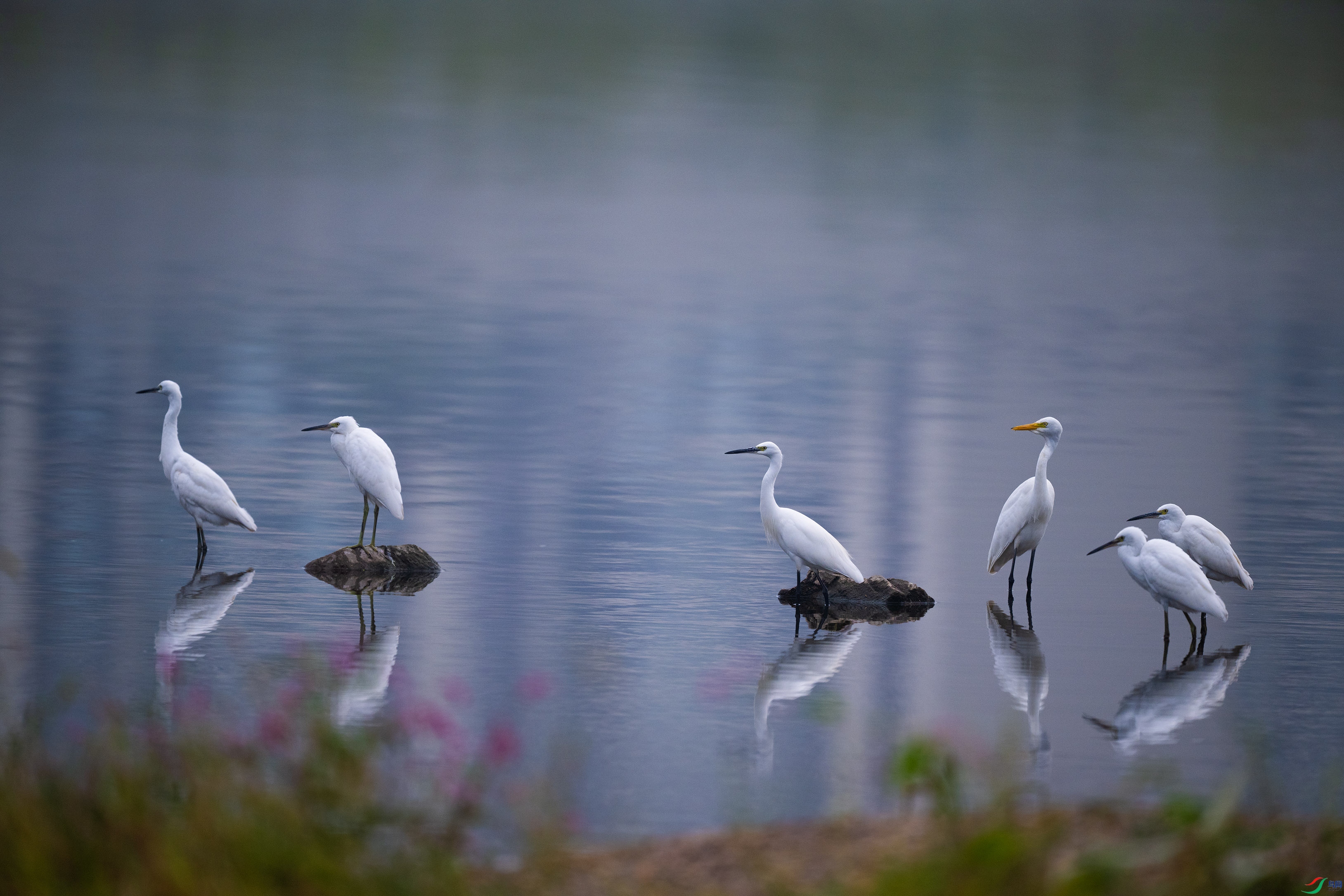 DSC_6411.jpg
