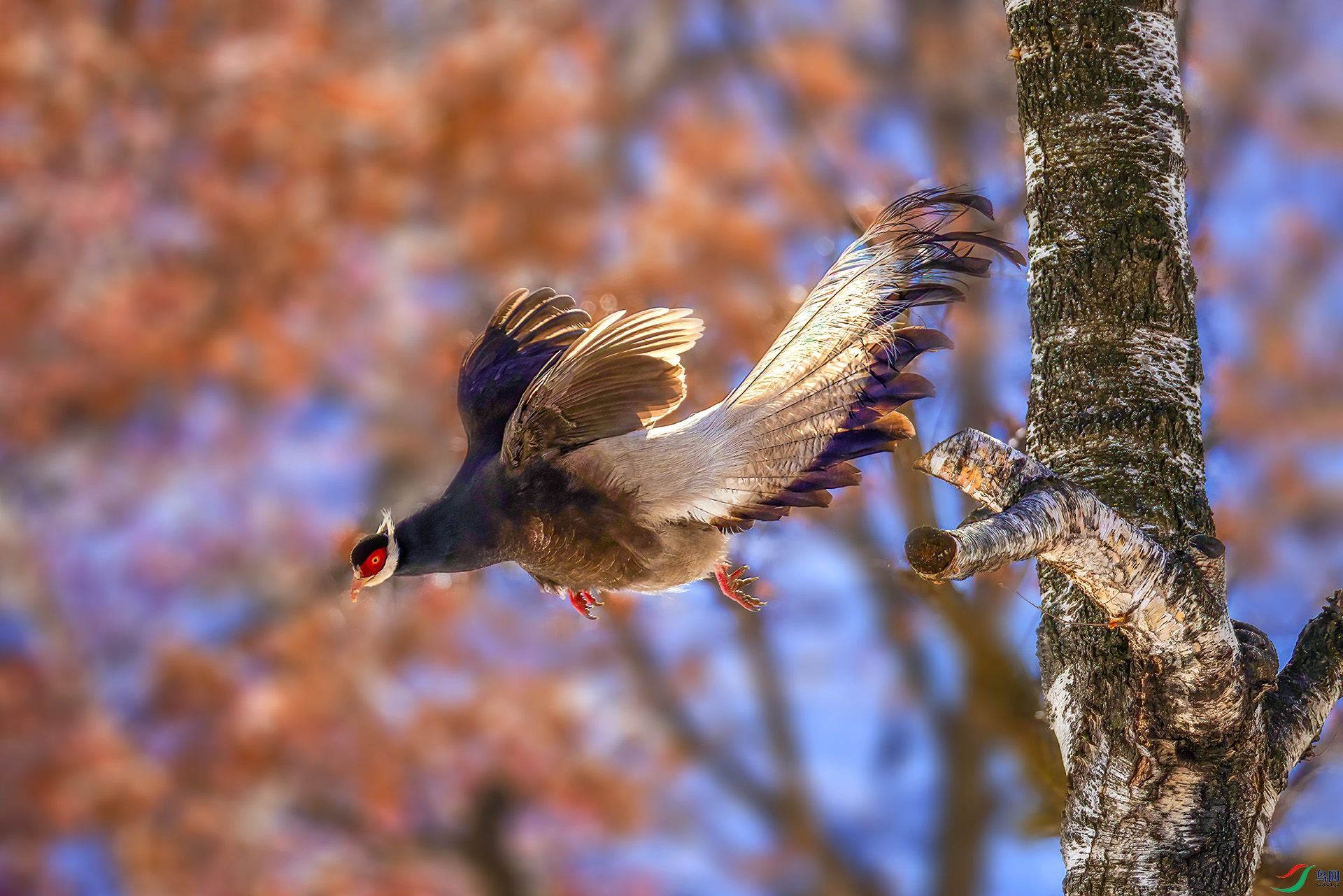 _07A9406 ����-Sh-----1 .jpg