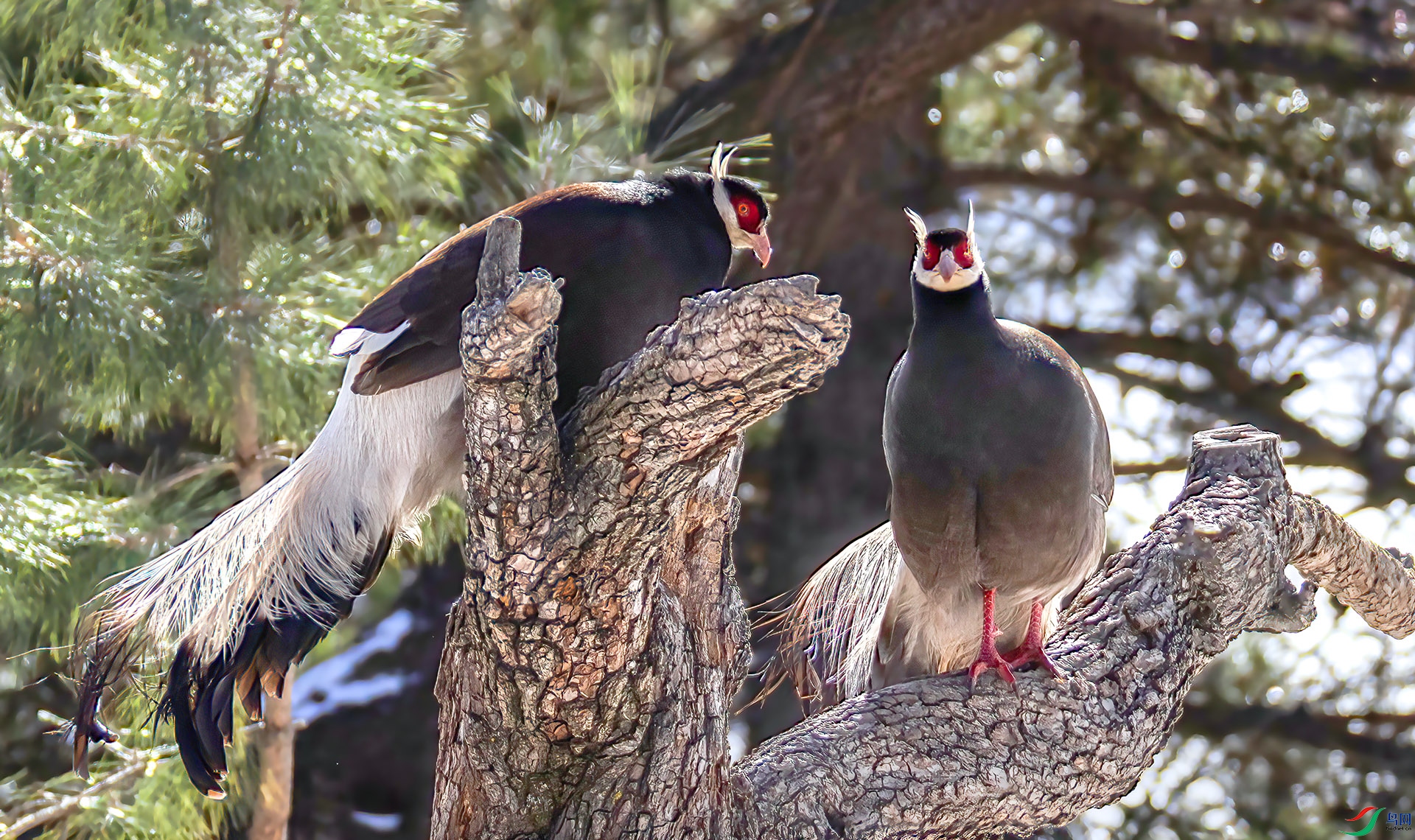 _07A8563 ����-Sh-----1 .jpg