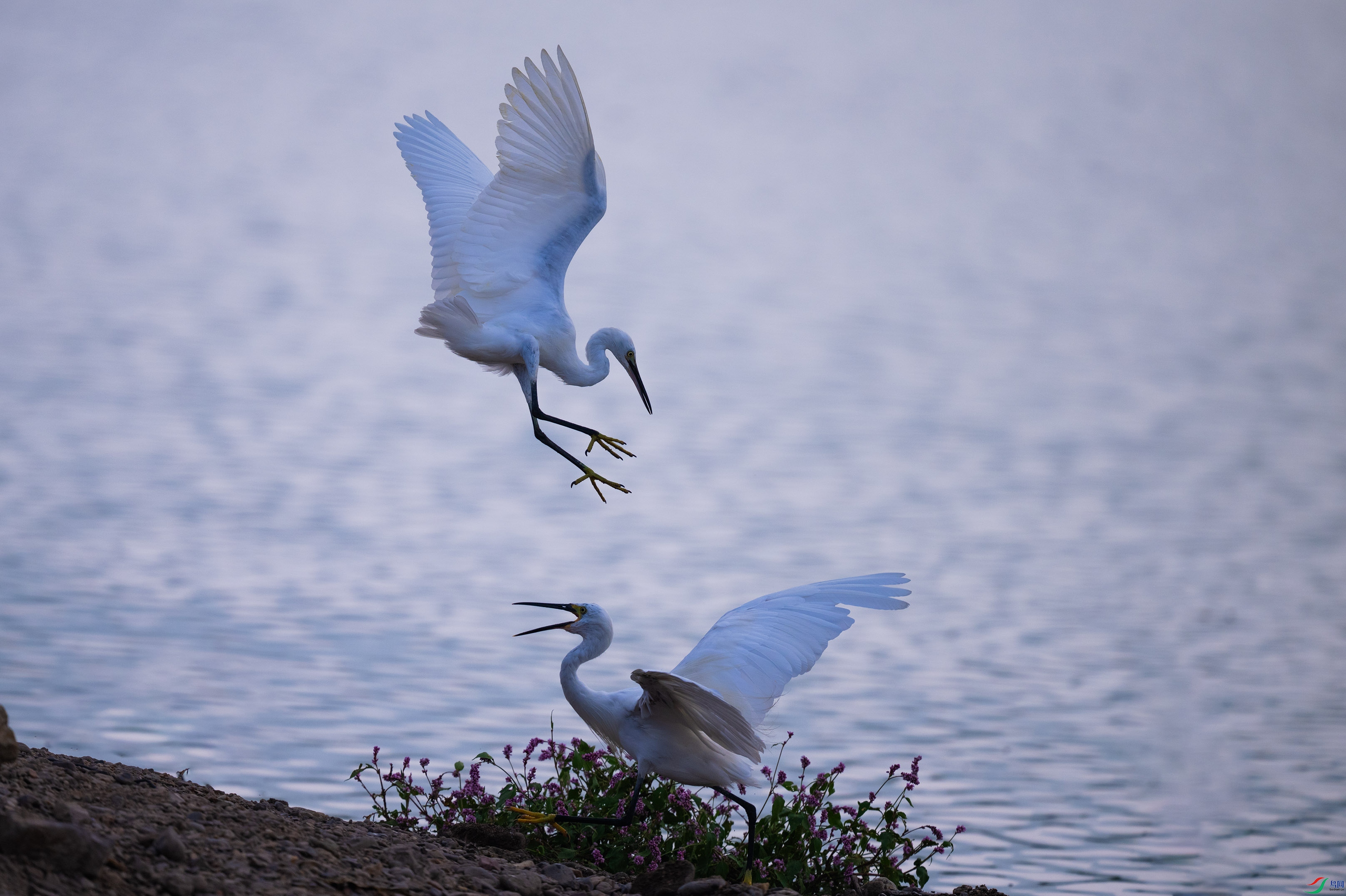 DSC_6989.jpg