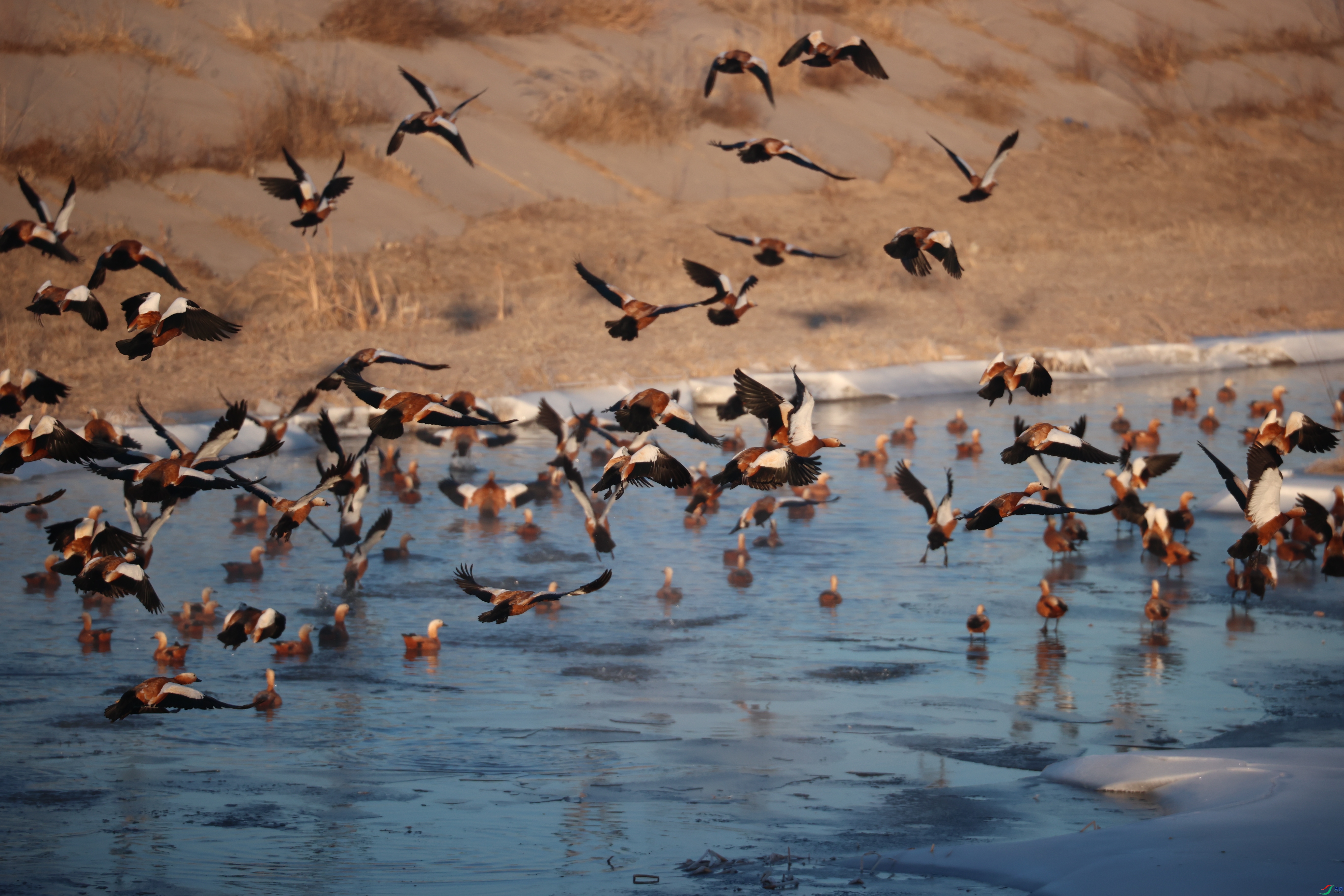 9004����ڿ���