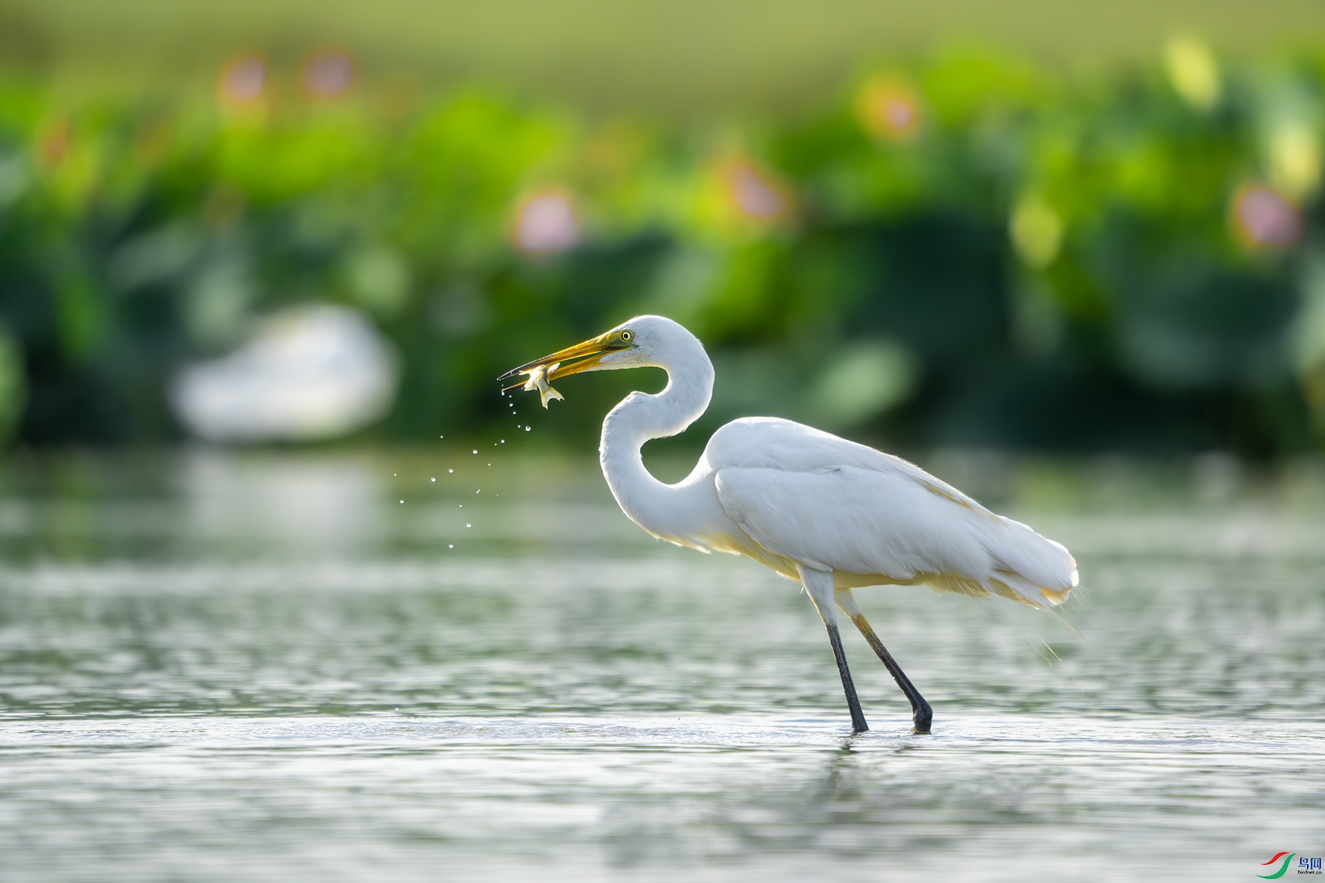 DSC05846-����ǿ-NR ����.jpg