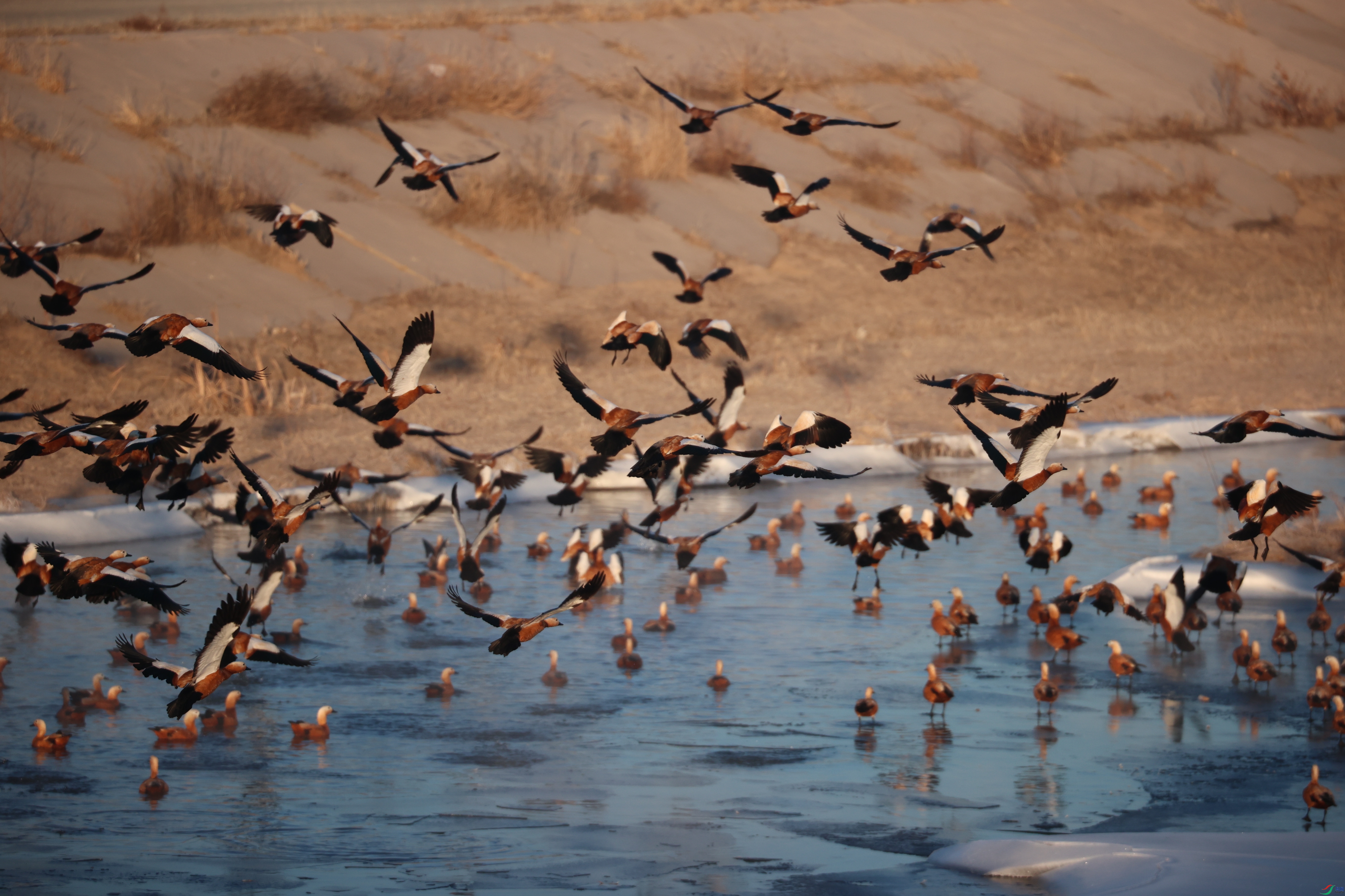 9008����ڿ���