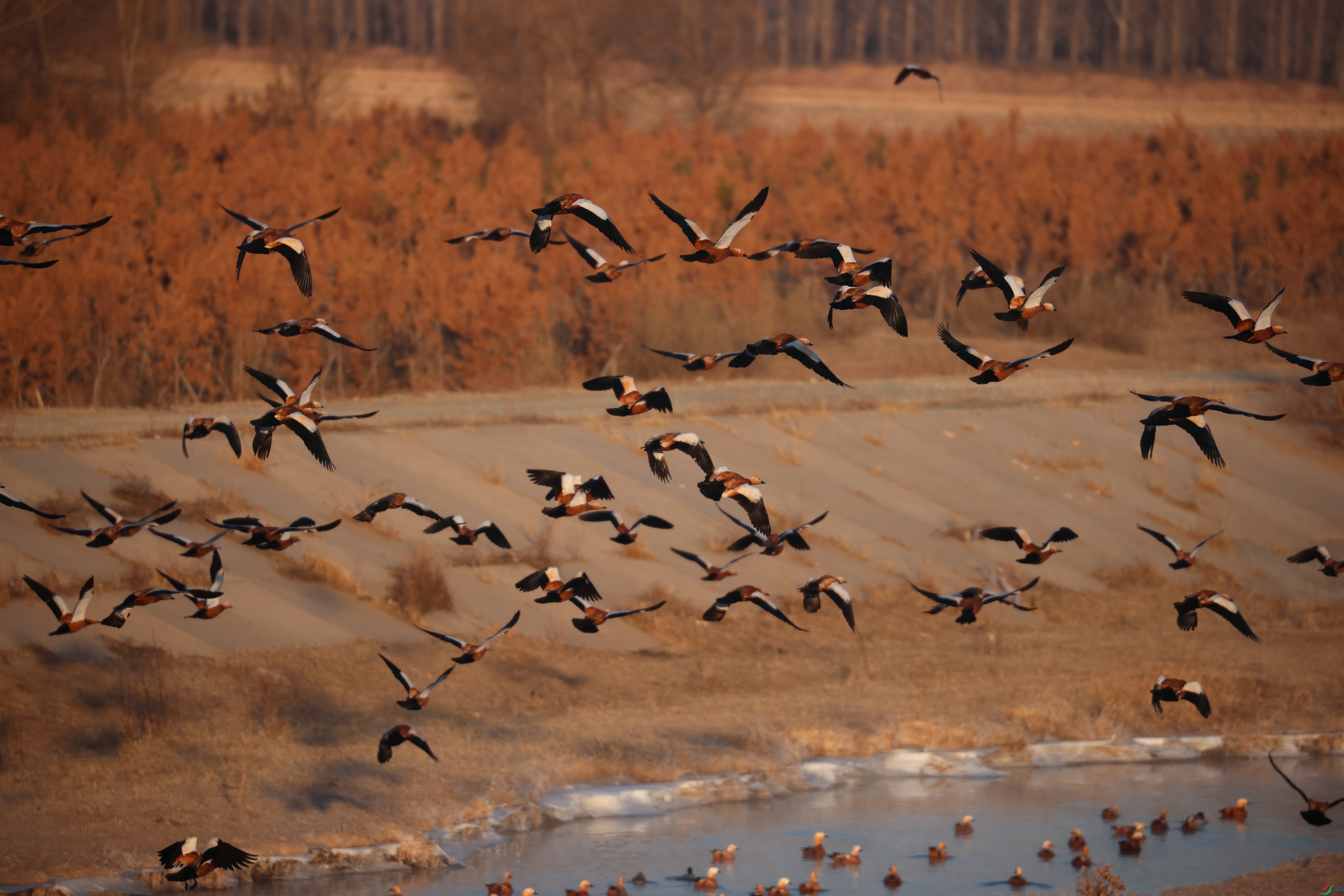 9014����ڿ���