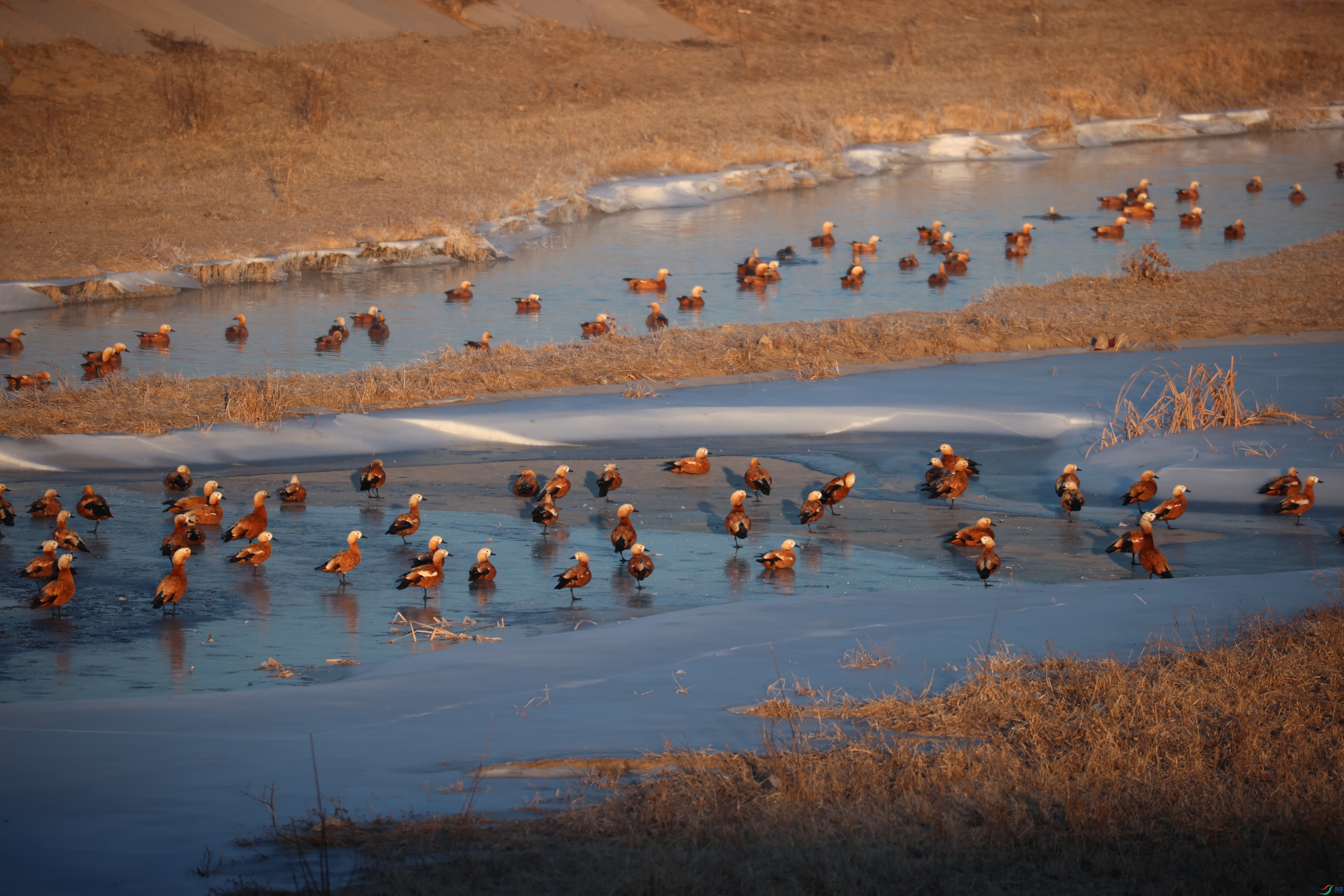 9017����ڿ���