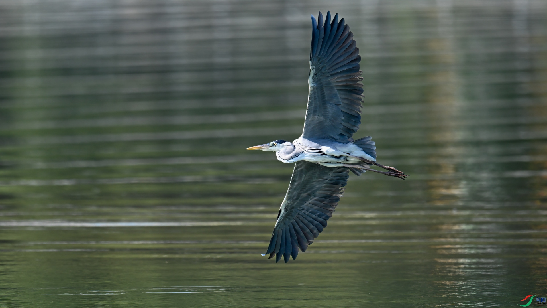 DSC_4466sen2025-1-22-9-�༭.jpg