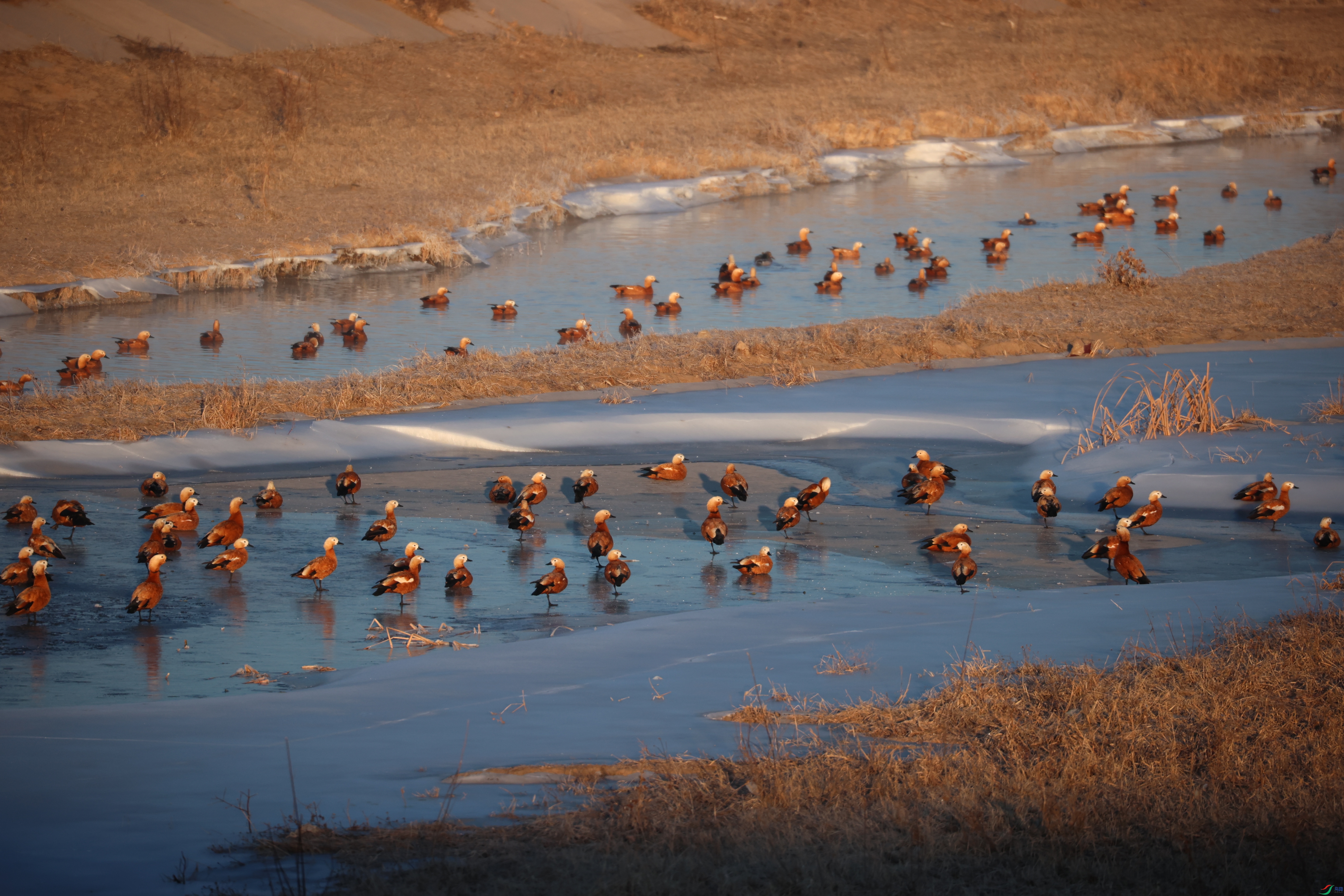 9023����ڿ���