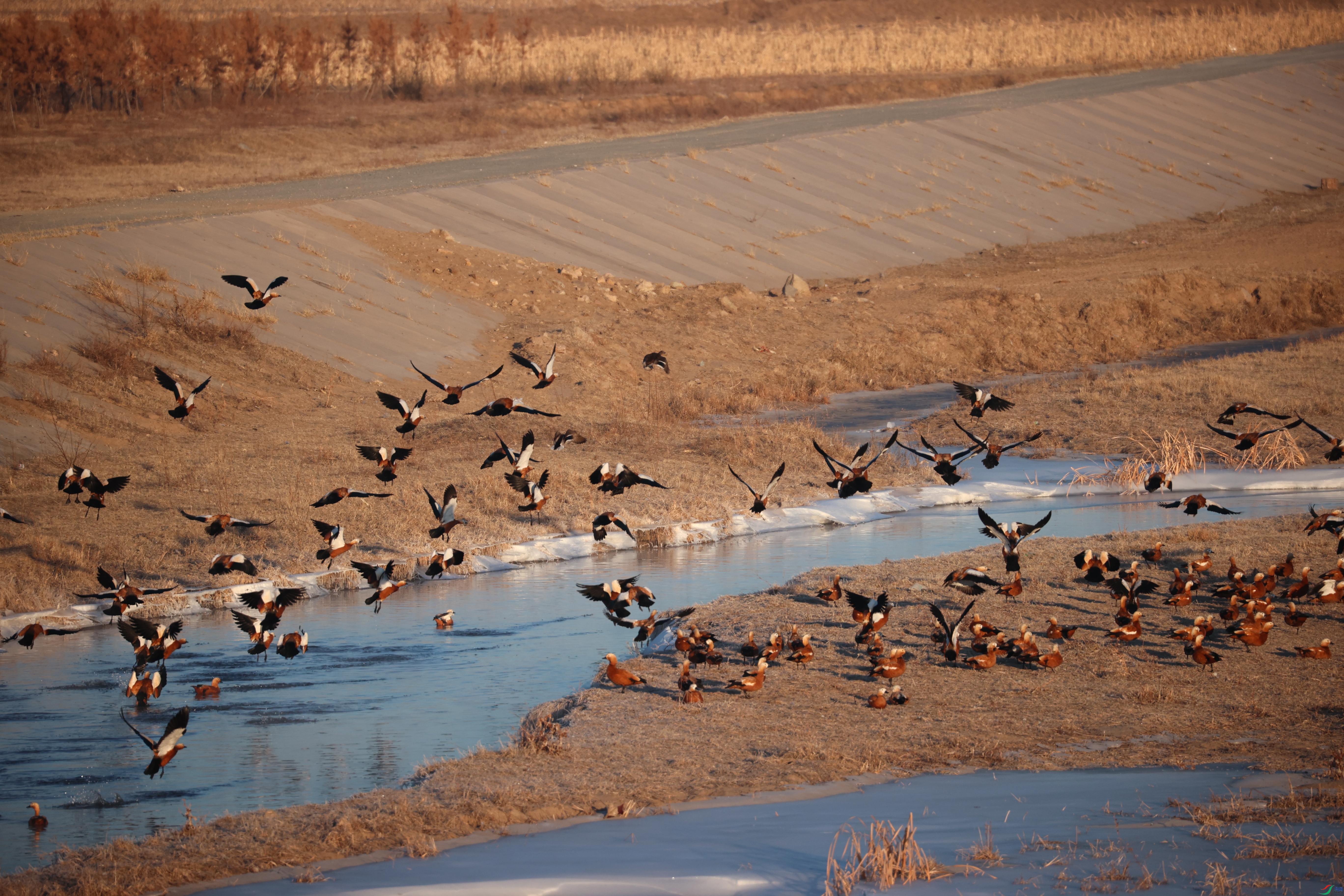 9025����ڿ���