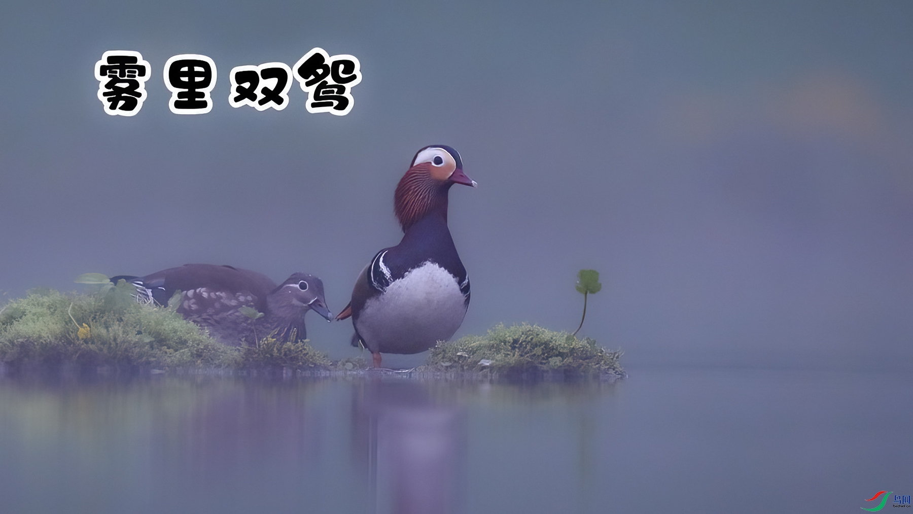 5��31�� (1)(1)-���� ����.jpg