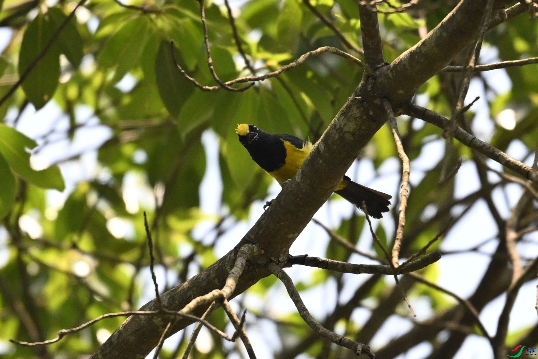 DSC_9349.JPG