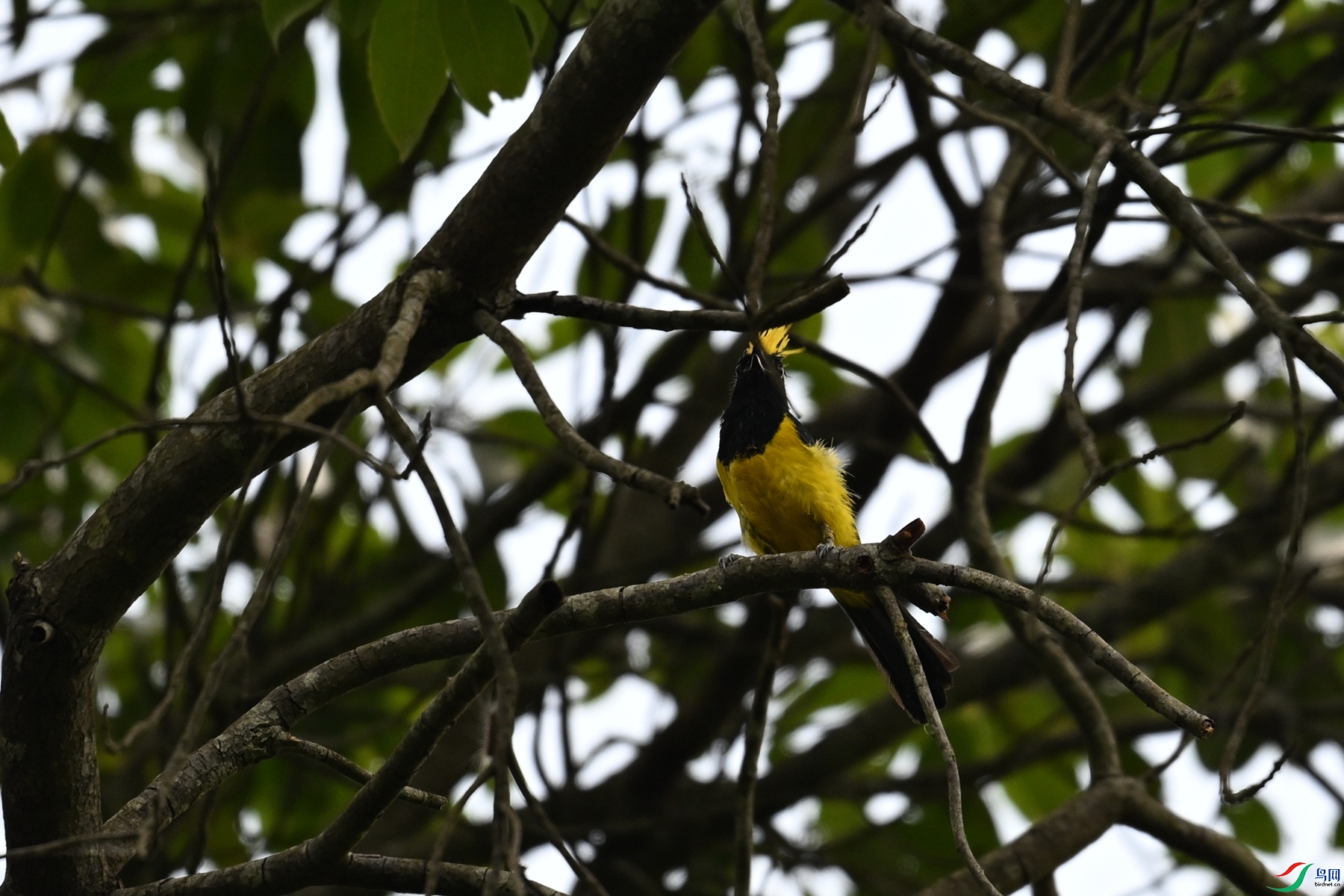 DSC_9343.JPG