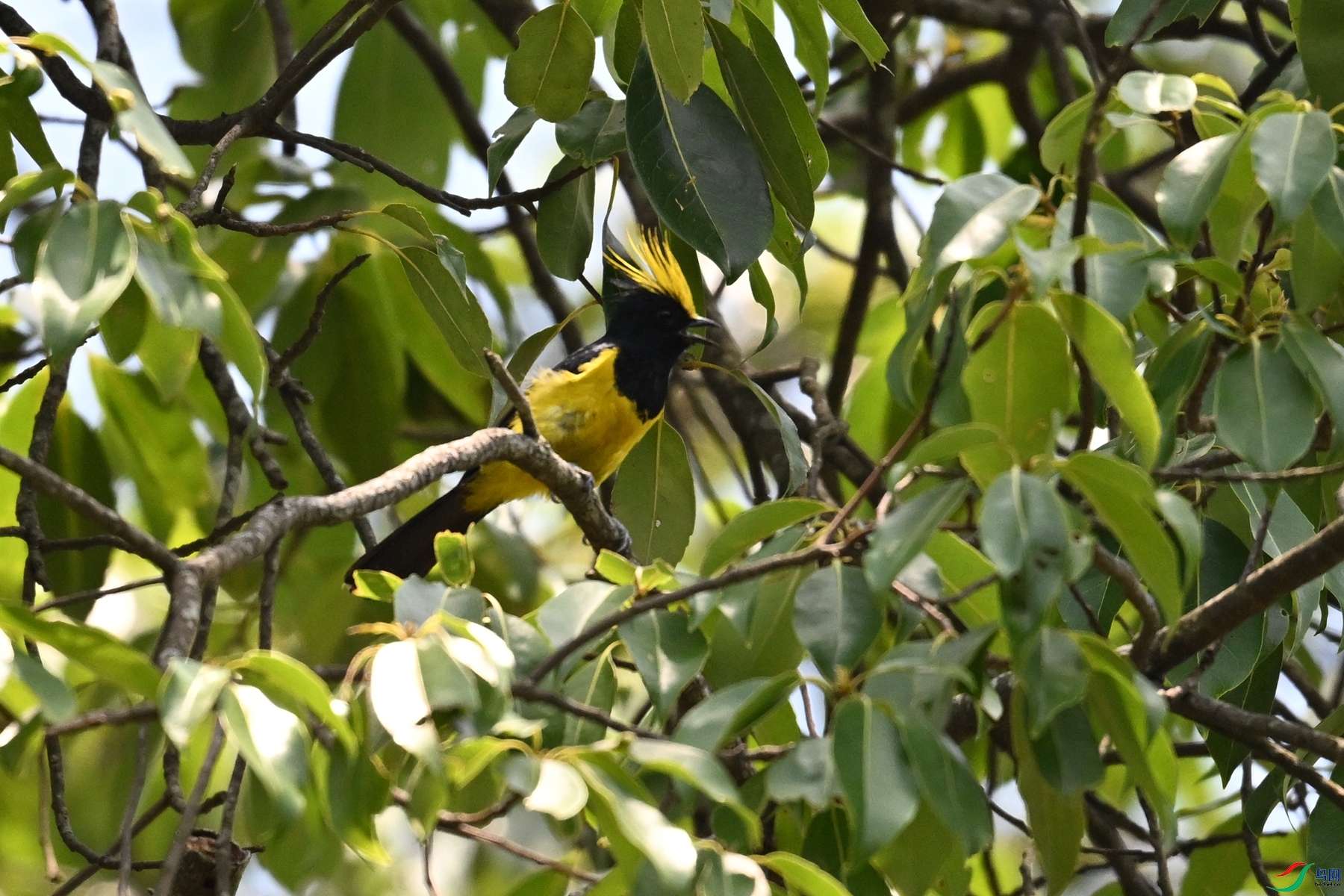 DSC_9353.JPG