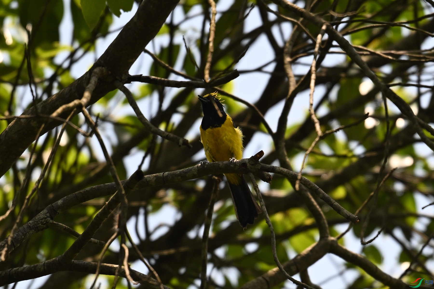 DSC_9346.JPG