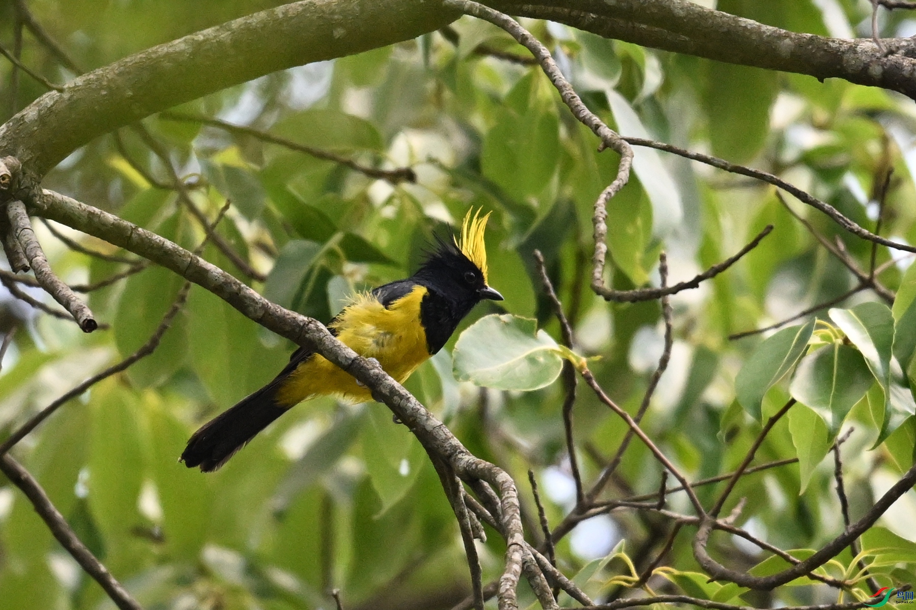 DSC_9374.JPG