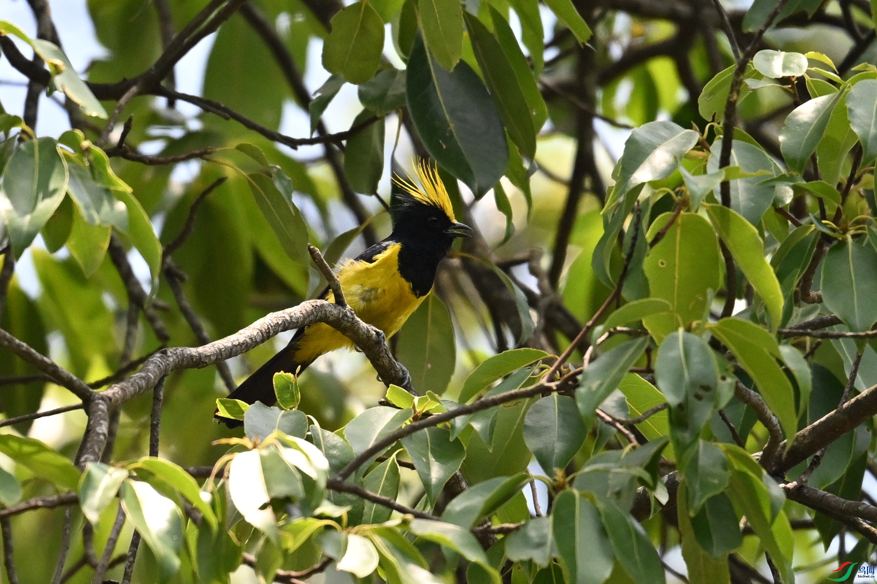 DSC_9356.JPG