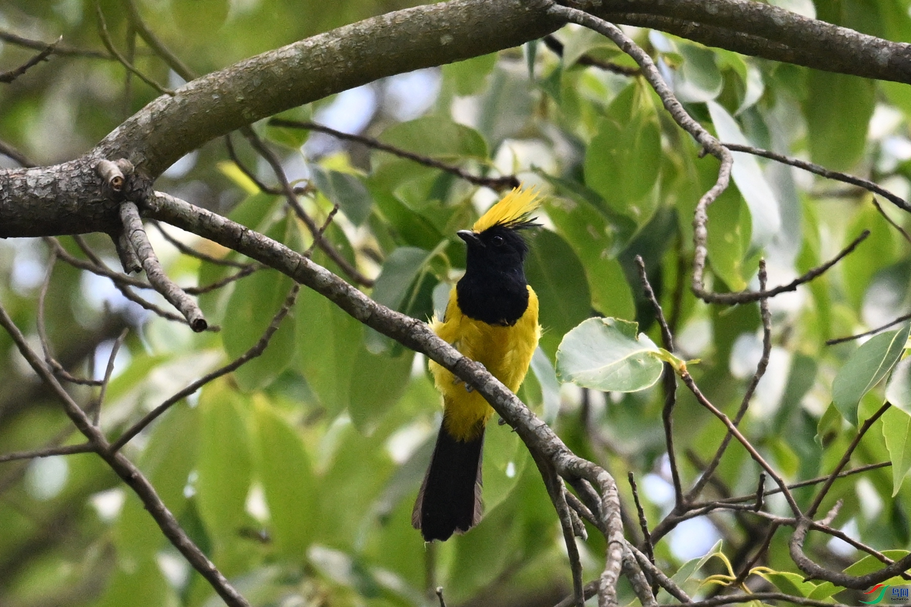 DSC_9378.JPG