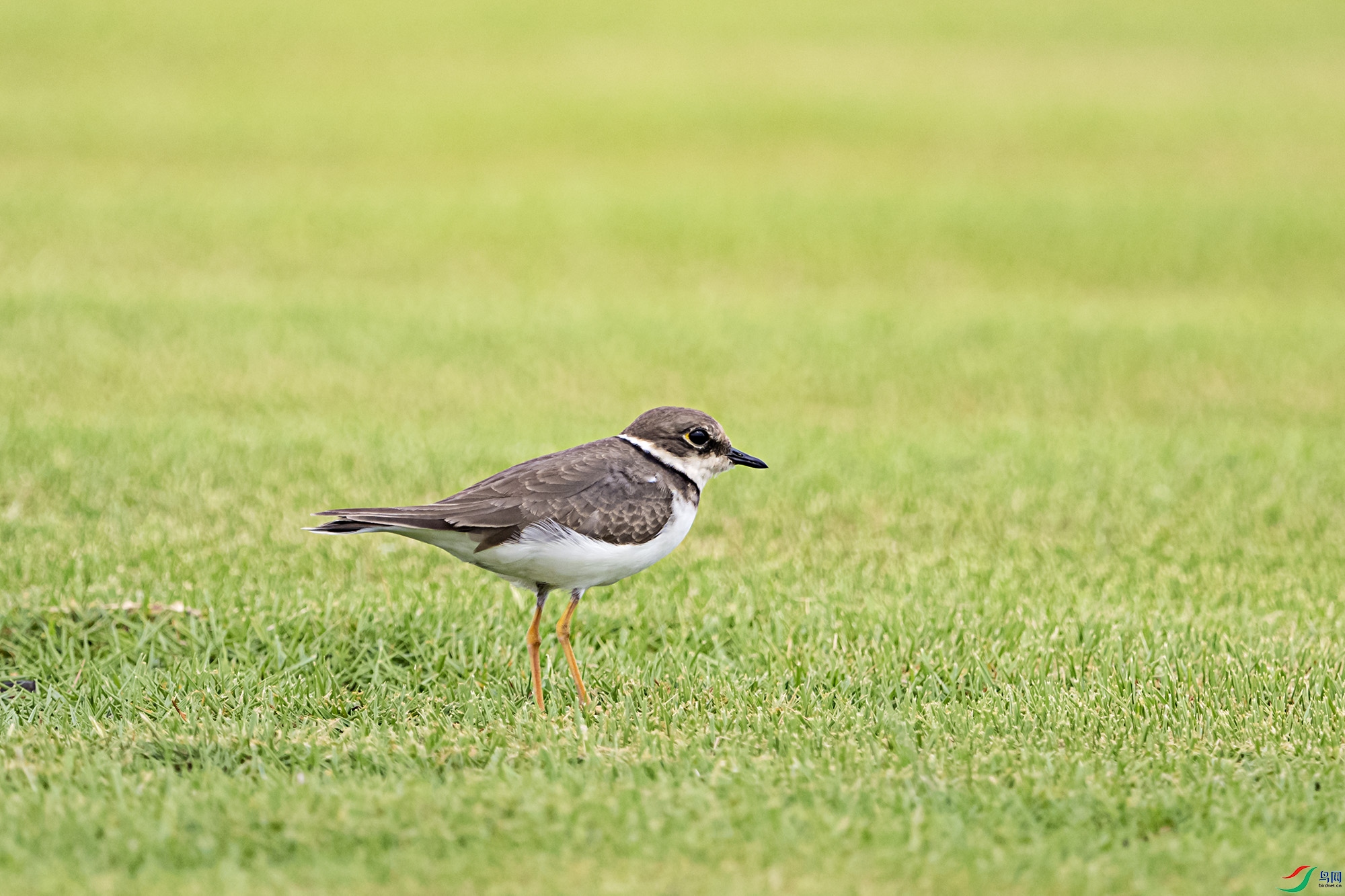 DSC_7027.jpg
